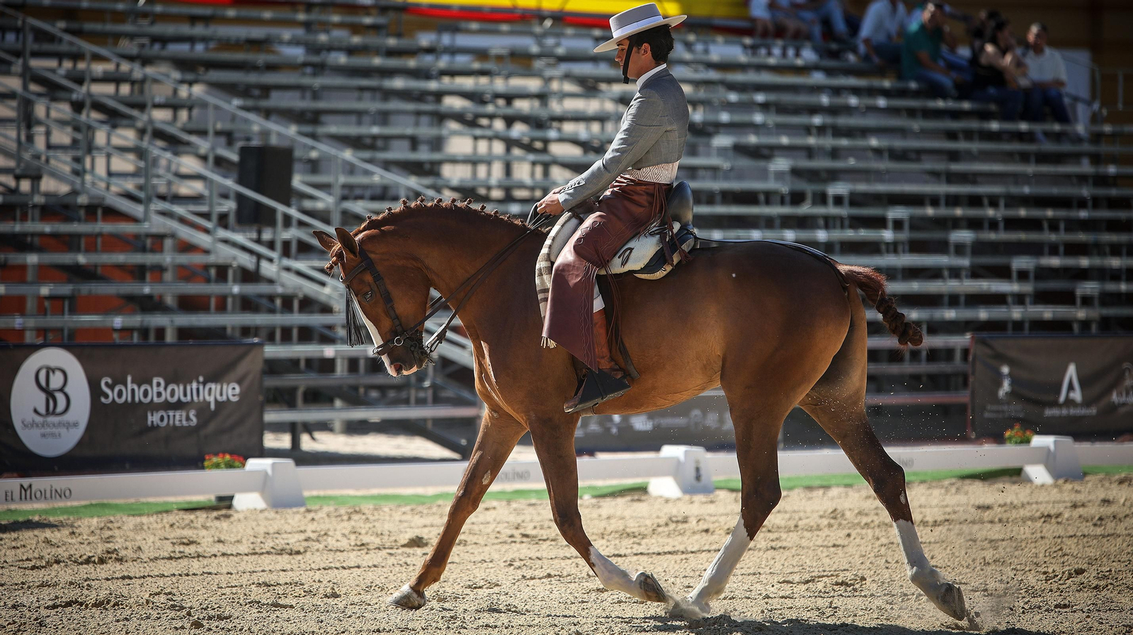 Imágenes de la XVI Copa de S.M. el Rey de Doma Vaquera