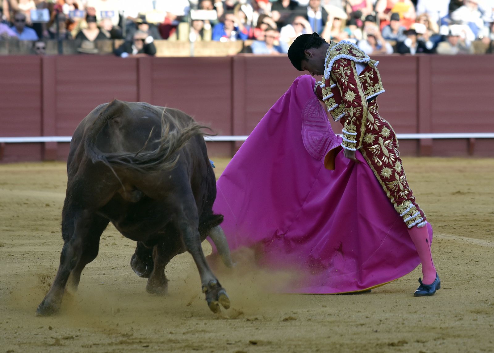 Las imágenes de la 13ª corrida de abono de La Maestranza
