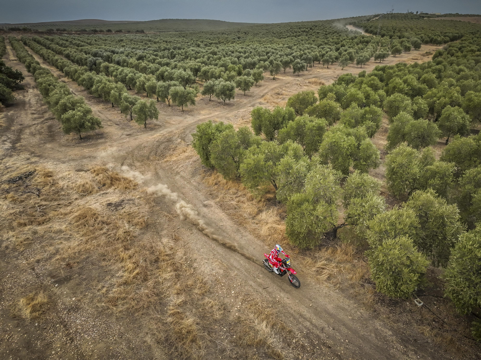 Andalucía Rally: las imágenes del 'Dakar' de Dos Hermanas | Día 2