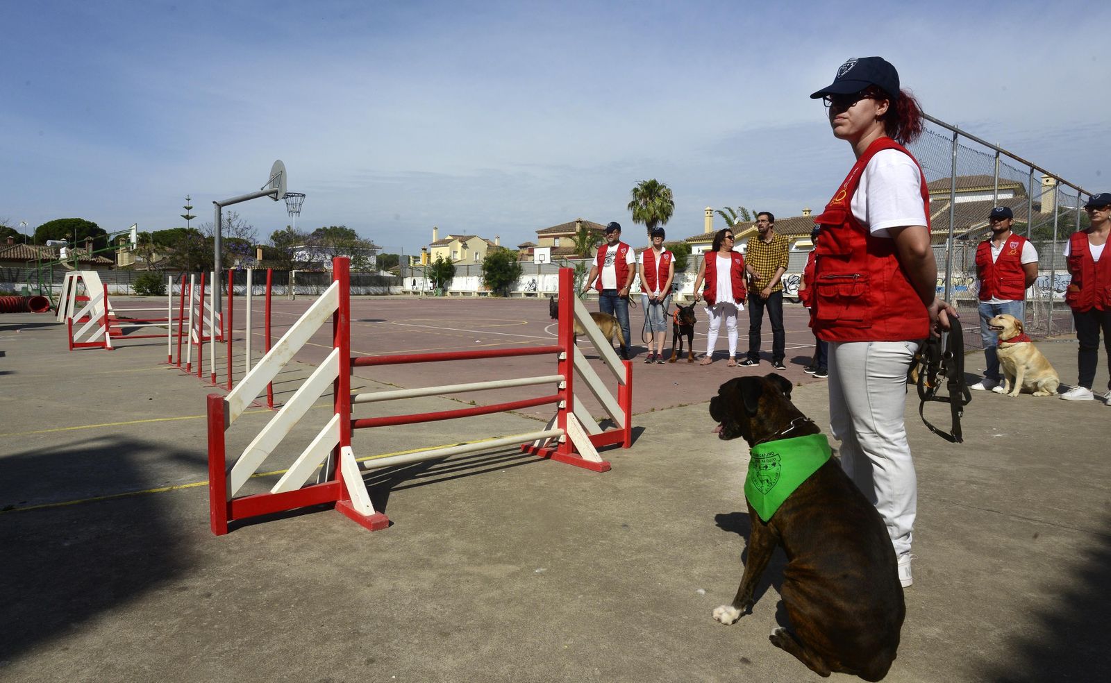 Una imagen de la exhibición canina celebrada en el instituto  La Arboleda.
