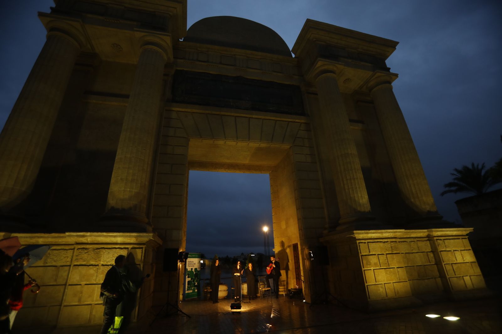 La celebración del Día Internacional del Flamenco en Córdoba, en imágenes