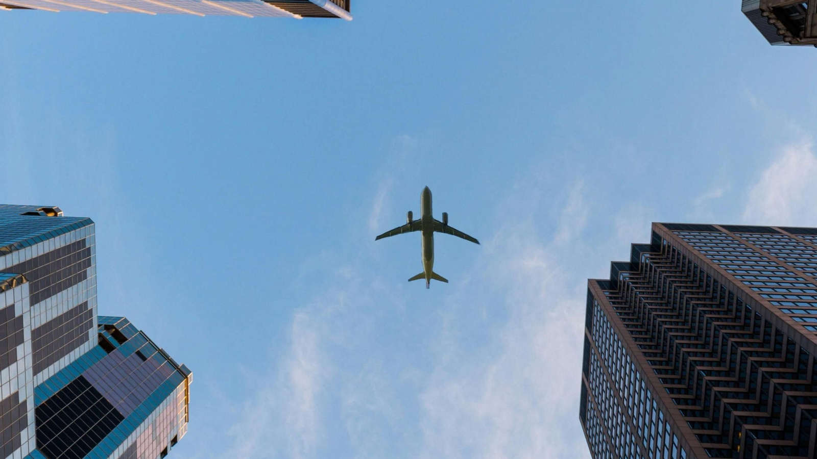 Conoce la estrategia de crecimiento de Plus Ultra bajo la dirección de Julio Martínez Sola