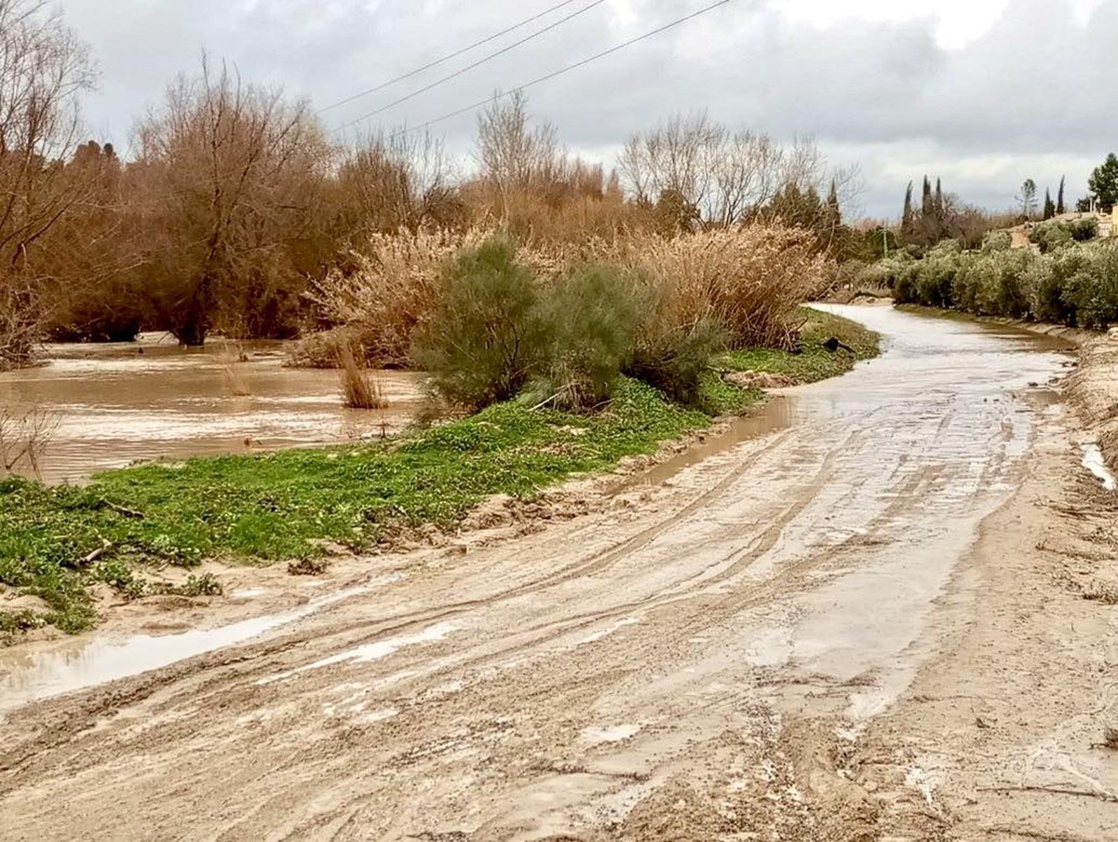 Estado de uno de los caminos rurales pertenecientes al término municipal de Peal de Becerro.