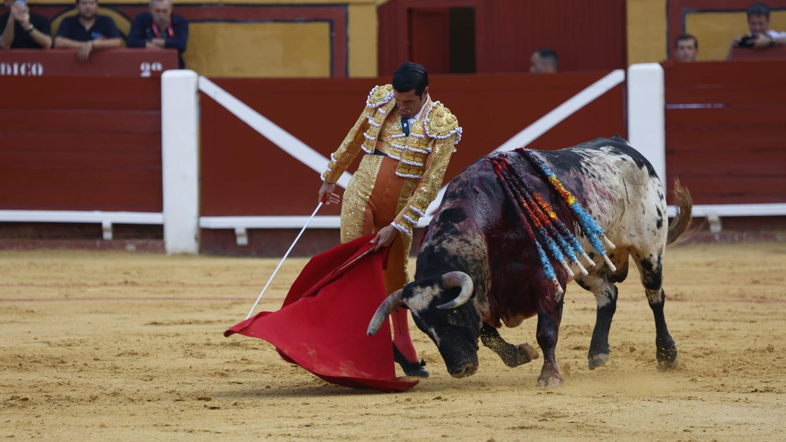Emilio de Justo con el guapo burraco de La Palmosilla que abrió plaza, de nombre 'Viñeto'.
