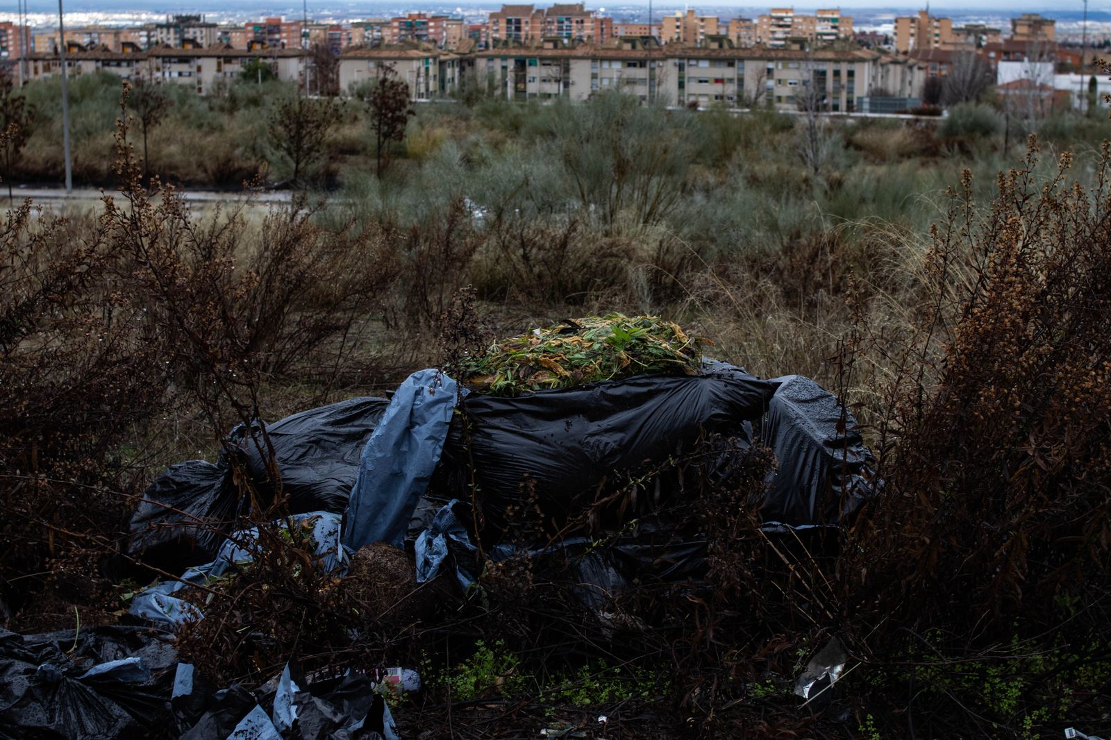 Caos y basura, el bucle en la Zona Norte