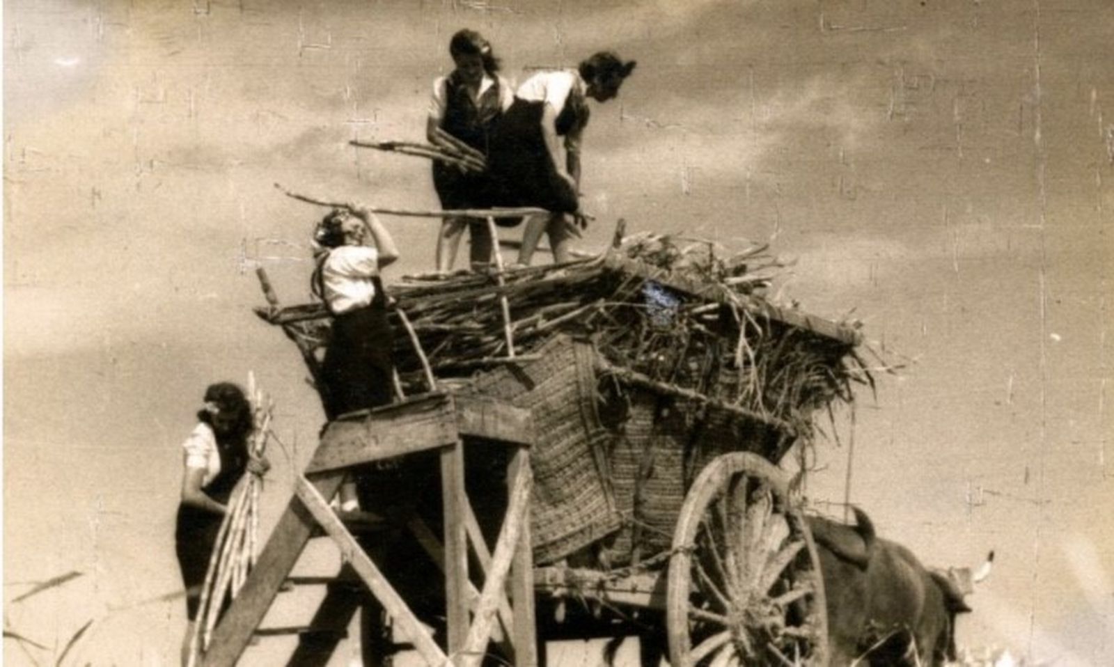 Una de las imágenes del Archivo Provincial de Málaga expuestas