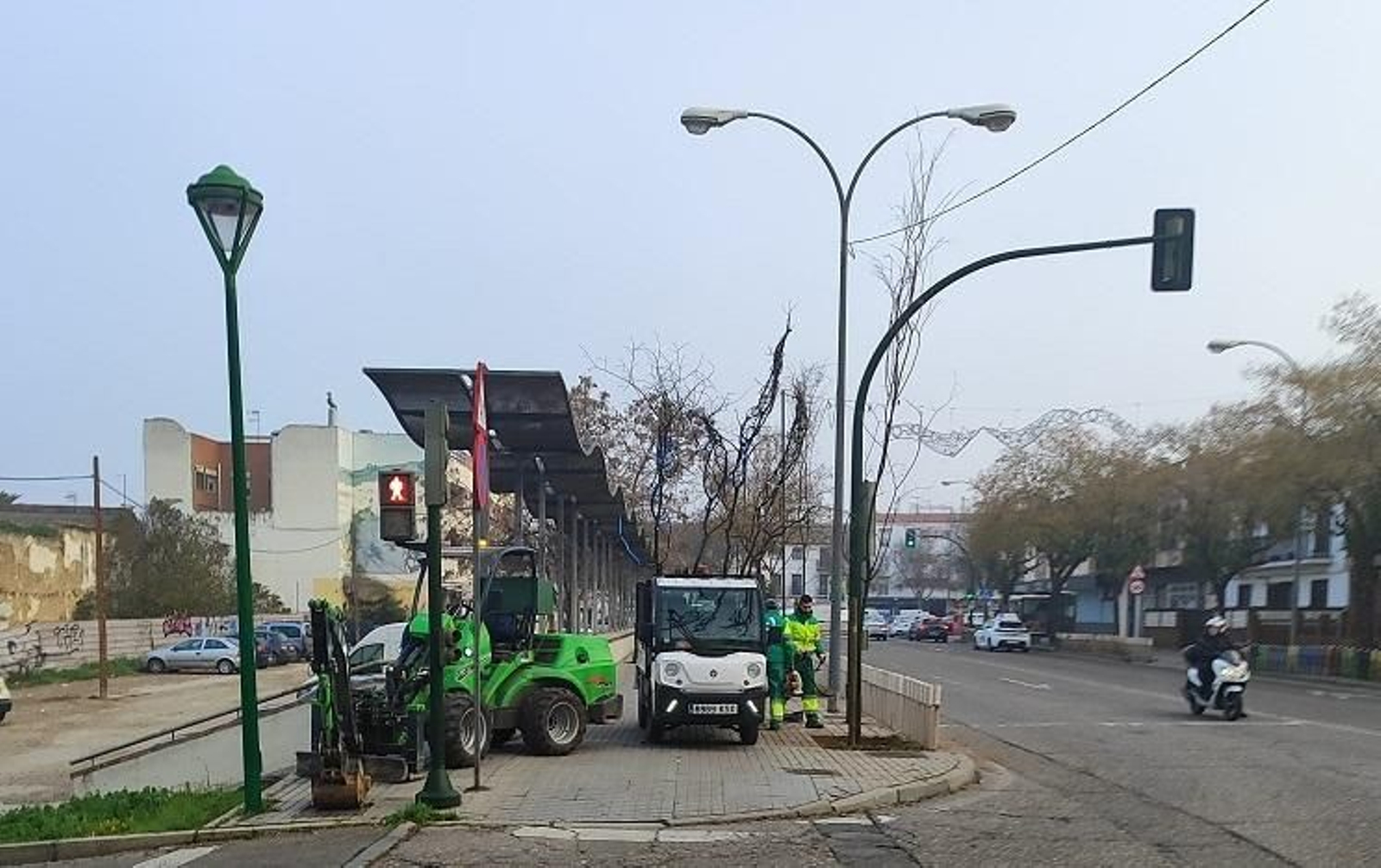 Personal de la Delegación de Infraestructuras trabaja en la reposición de árboles. Personal de la Delegación de Infraestructuras trabaja en la reposición de árboles.