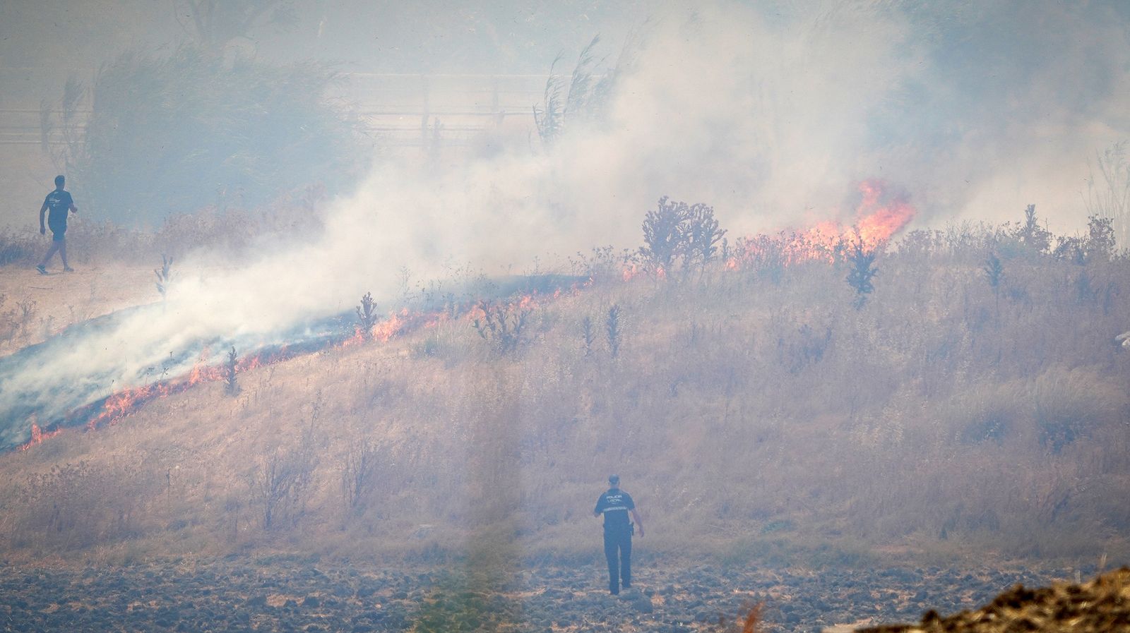 El fuego llega a las  casapuertas en Jerez