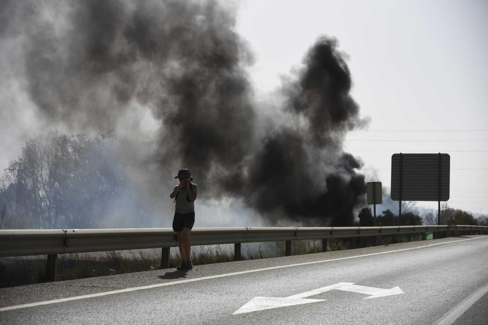 Imágenes del incendio forestal de Bonares