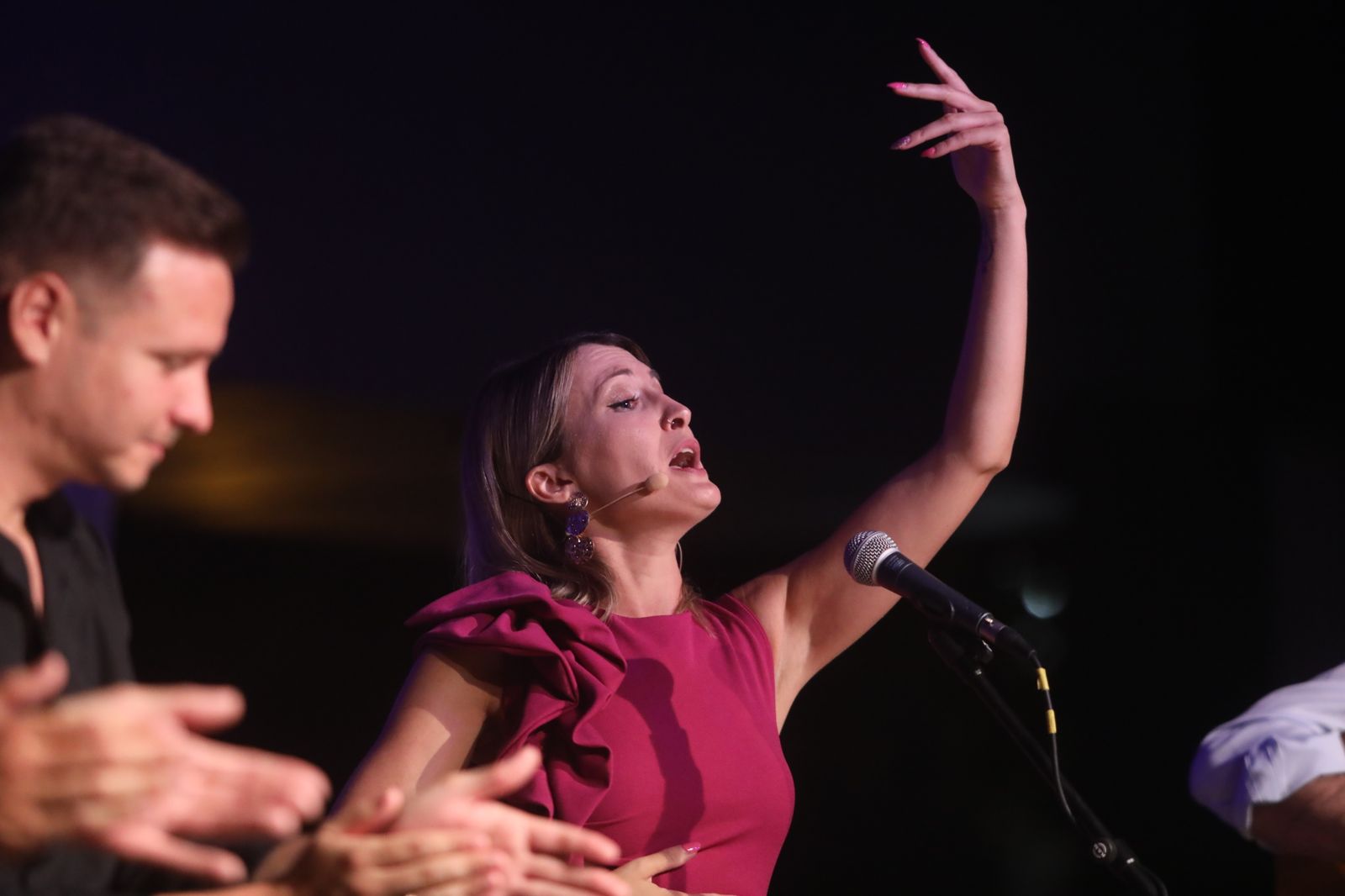 La noche flamenca en el Parque de San Fernando, en imágenes
