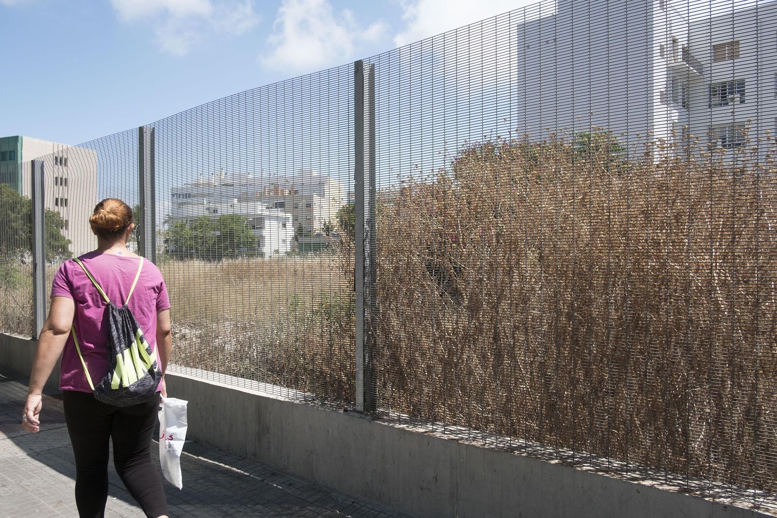 Las hierbas crecen en el solar de la Subdelegación