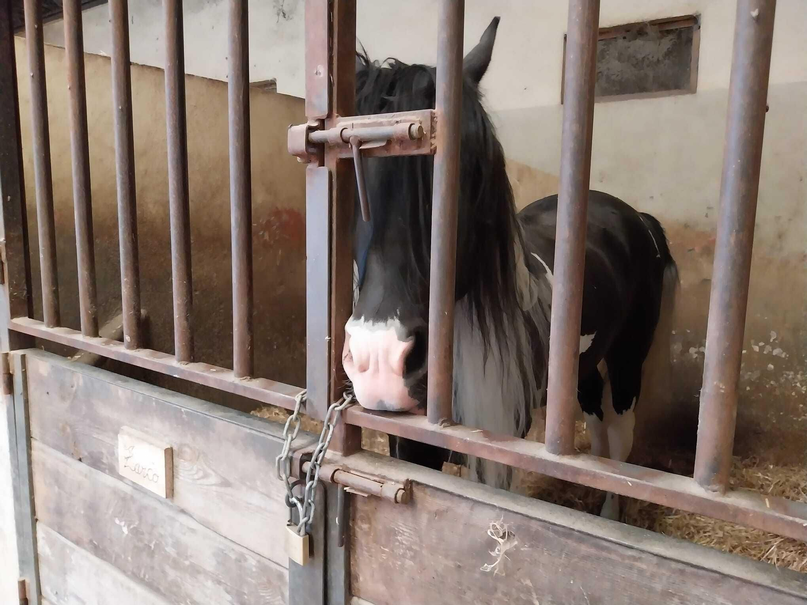 Vea cómo es el Mini Hollywood Oasys y sus espectaculares decorados
