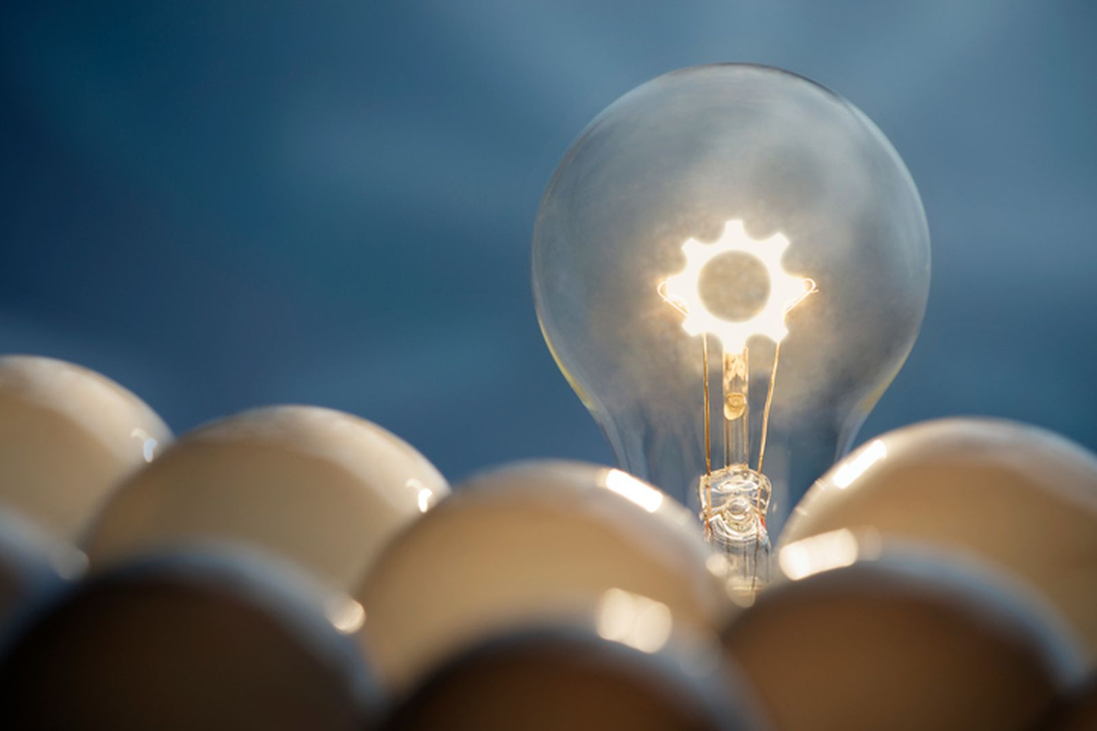 Estas son las ideas sostenibles más innovadoras de Andalucía