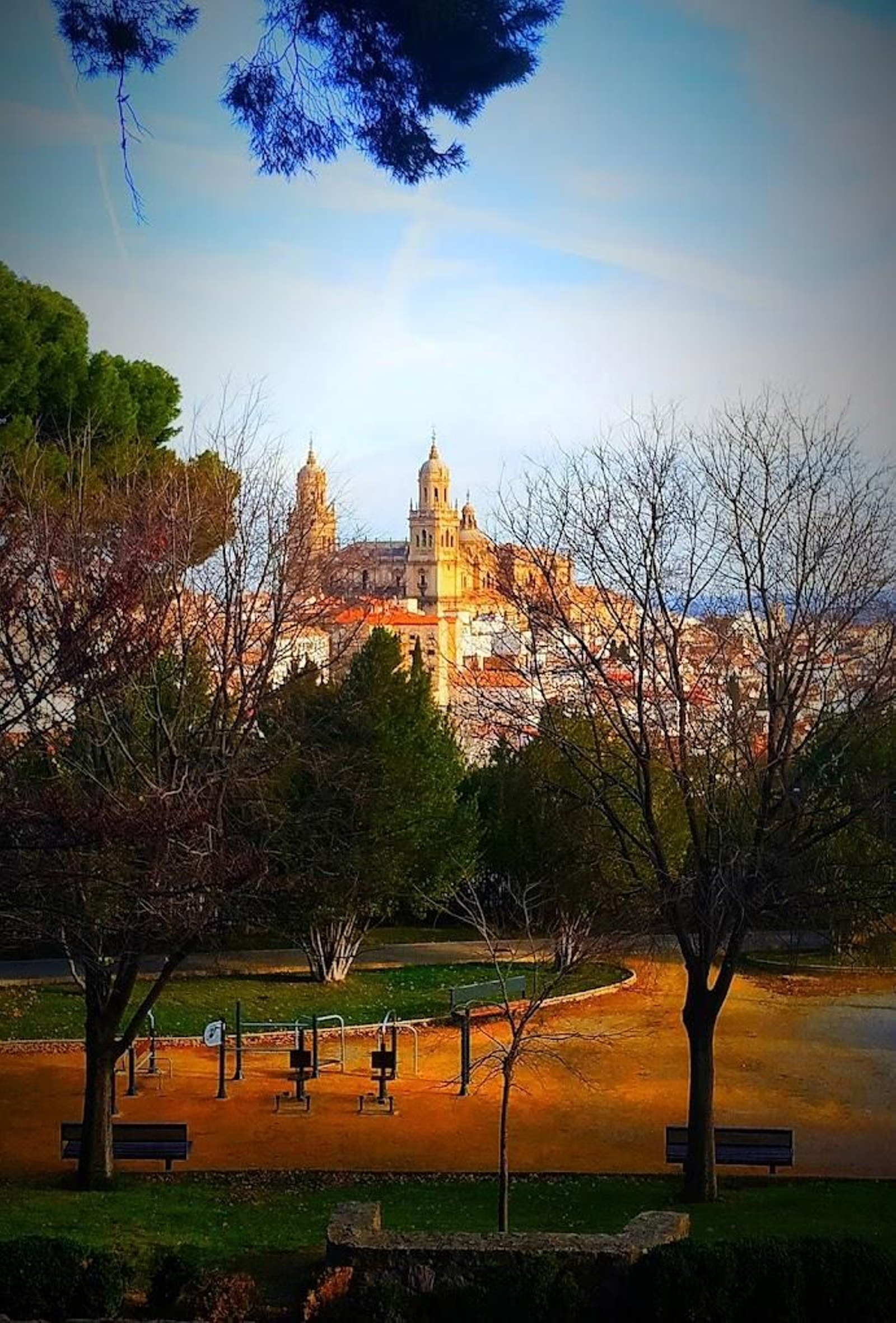 Así de bonita luce la Catedral de Jaén desde la zona más alta del Parque del Seminario.