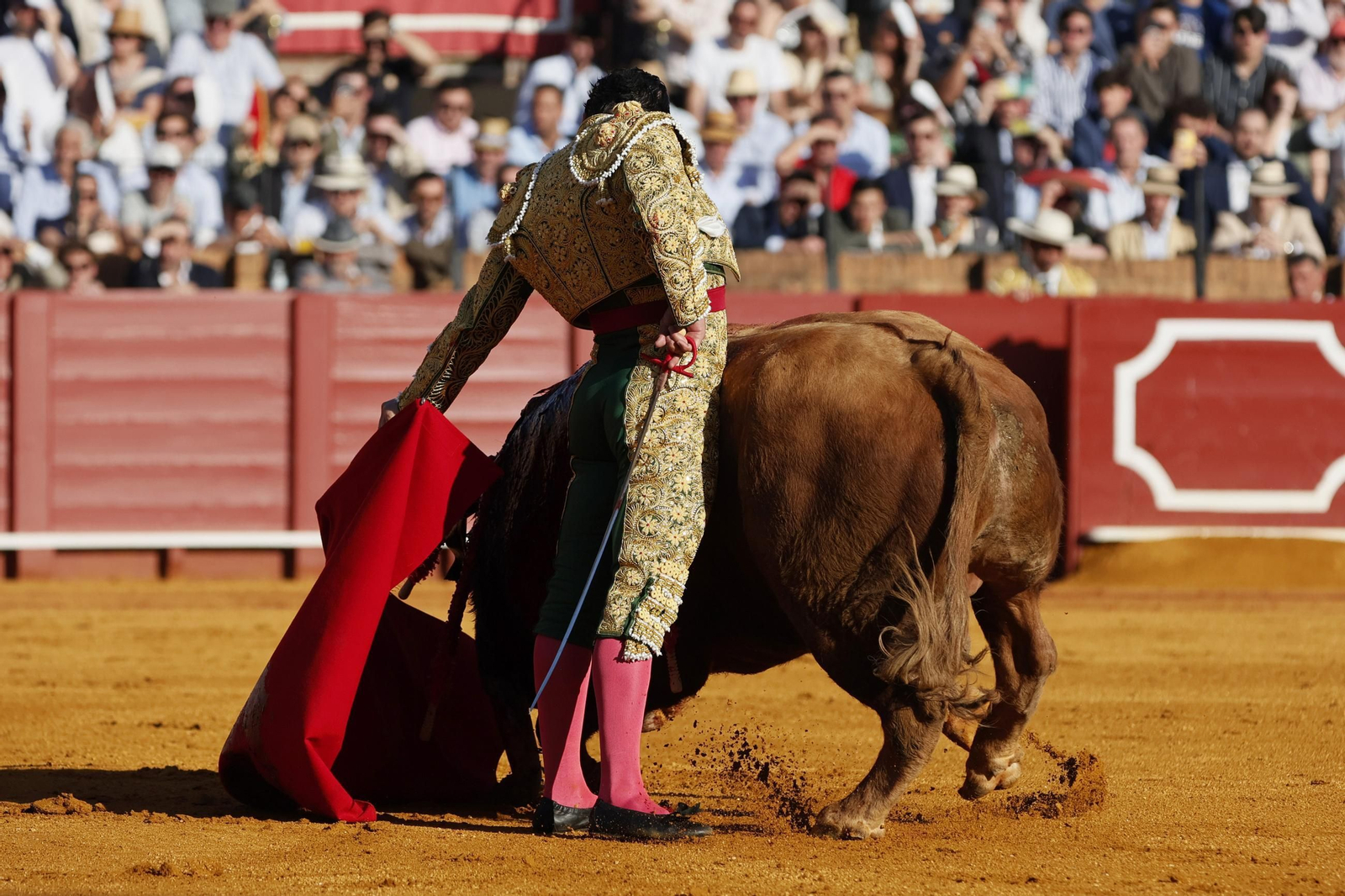 Las imágenes de la corrida