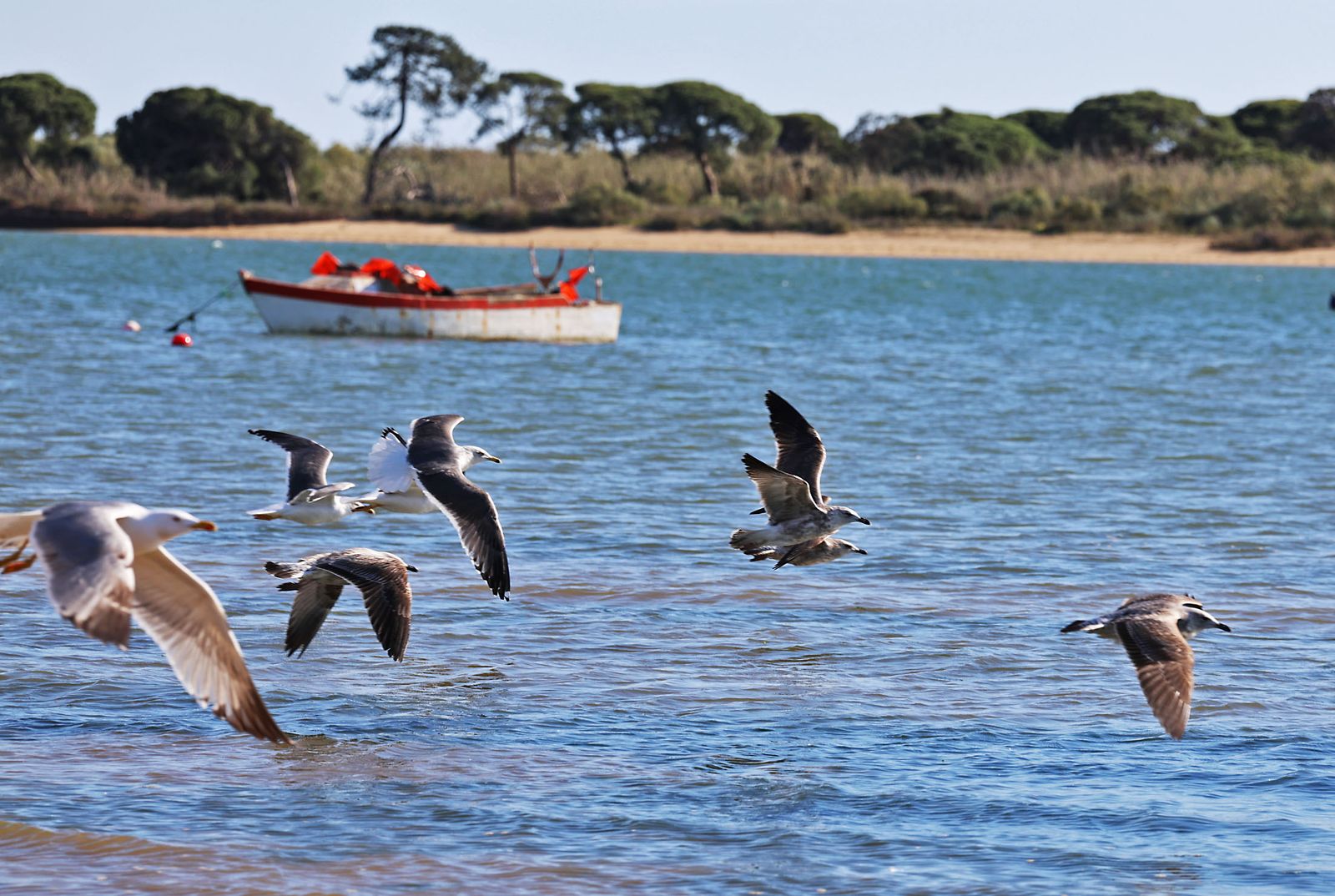 Las imágenes más destacadas del miércoles 28 de febrero en Huelva