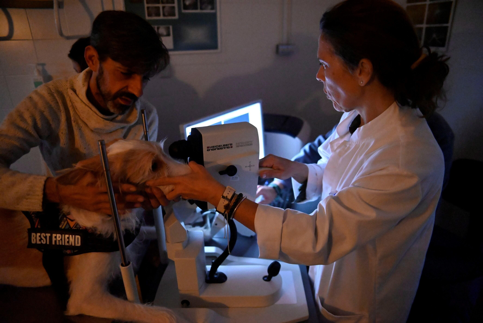 El Hospital Veterinario de la Universidad de Córdoba, en imágenes