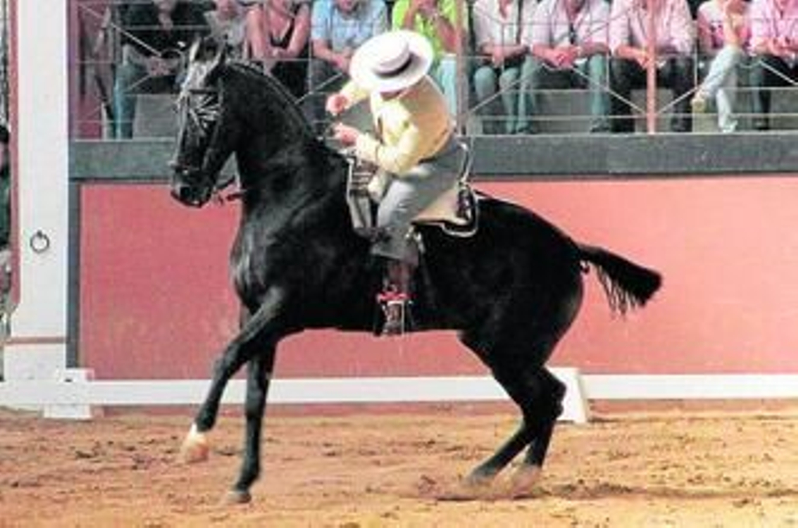 El puebleño José María Cruz lo dará todo montando a 'Napoleón' para estar en la cima de este Andaluz.