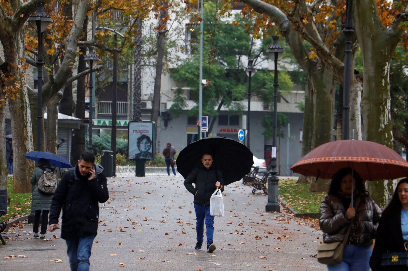 El paso de la borrasca Goretti por Córdoba