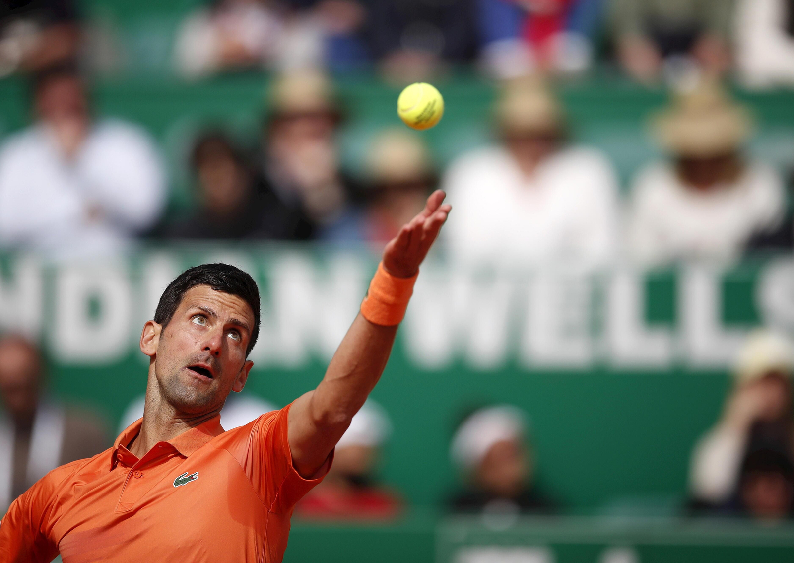 Las fotos del Djokovic-Davidovich