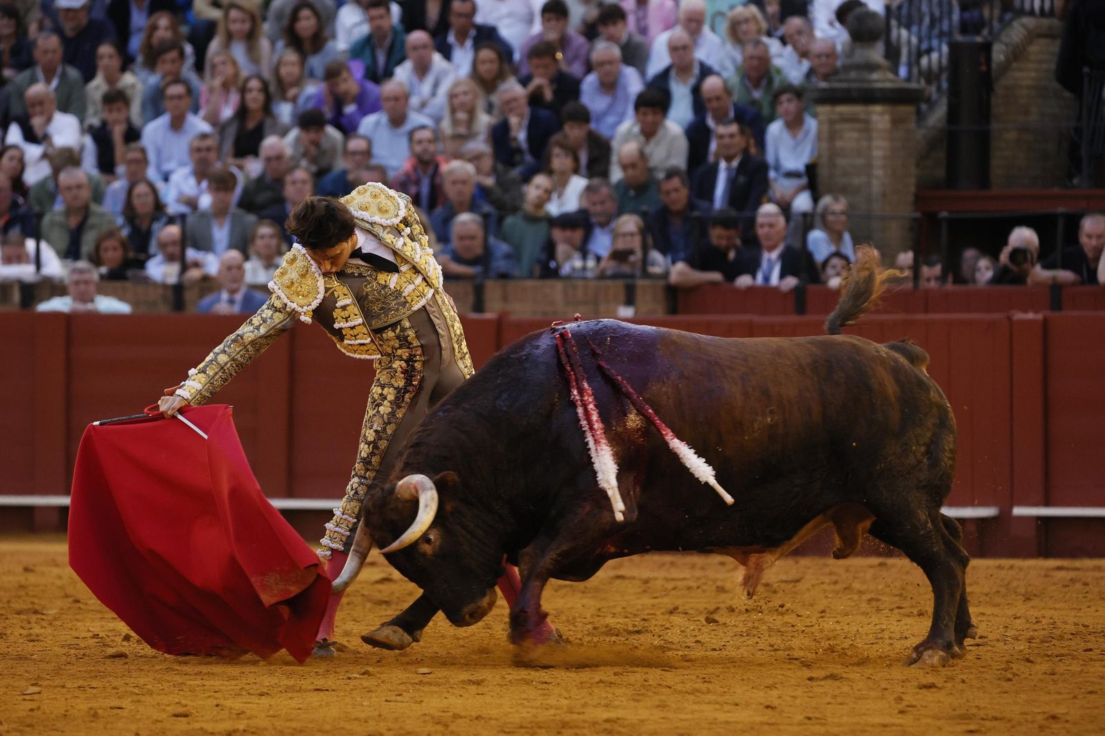 Las imágenes del festejo