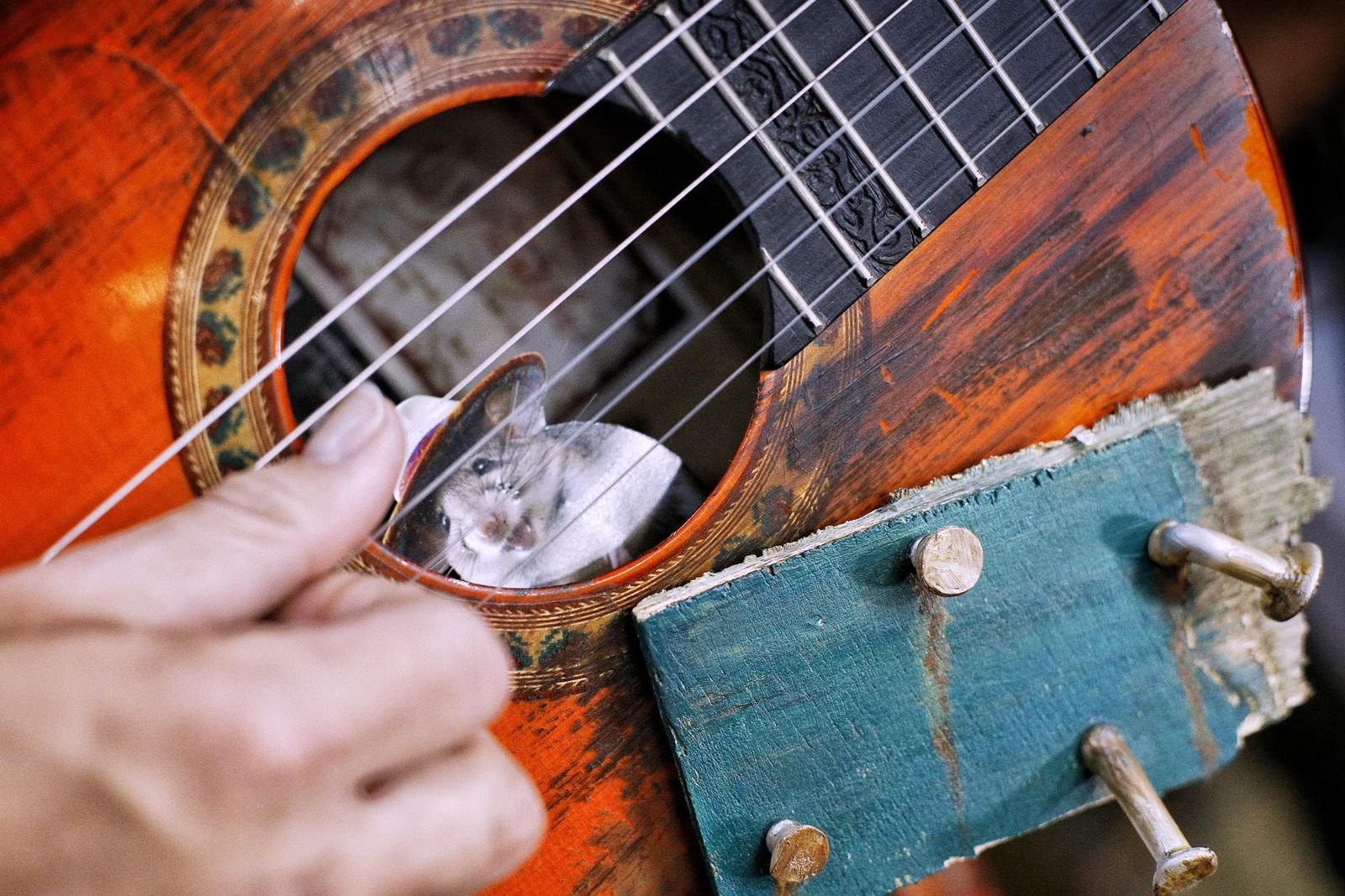 Chirigota Los chabolis