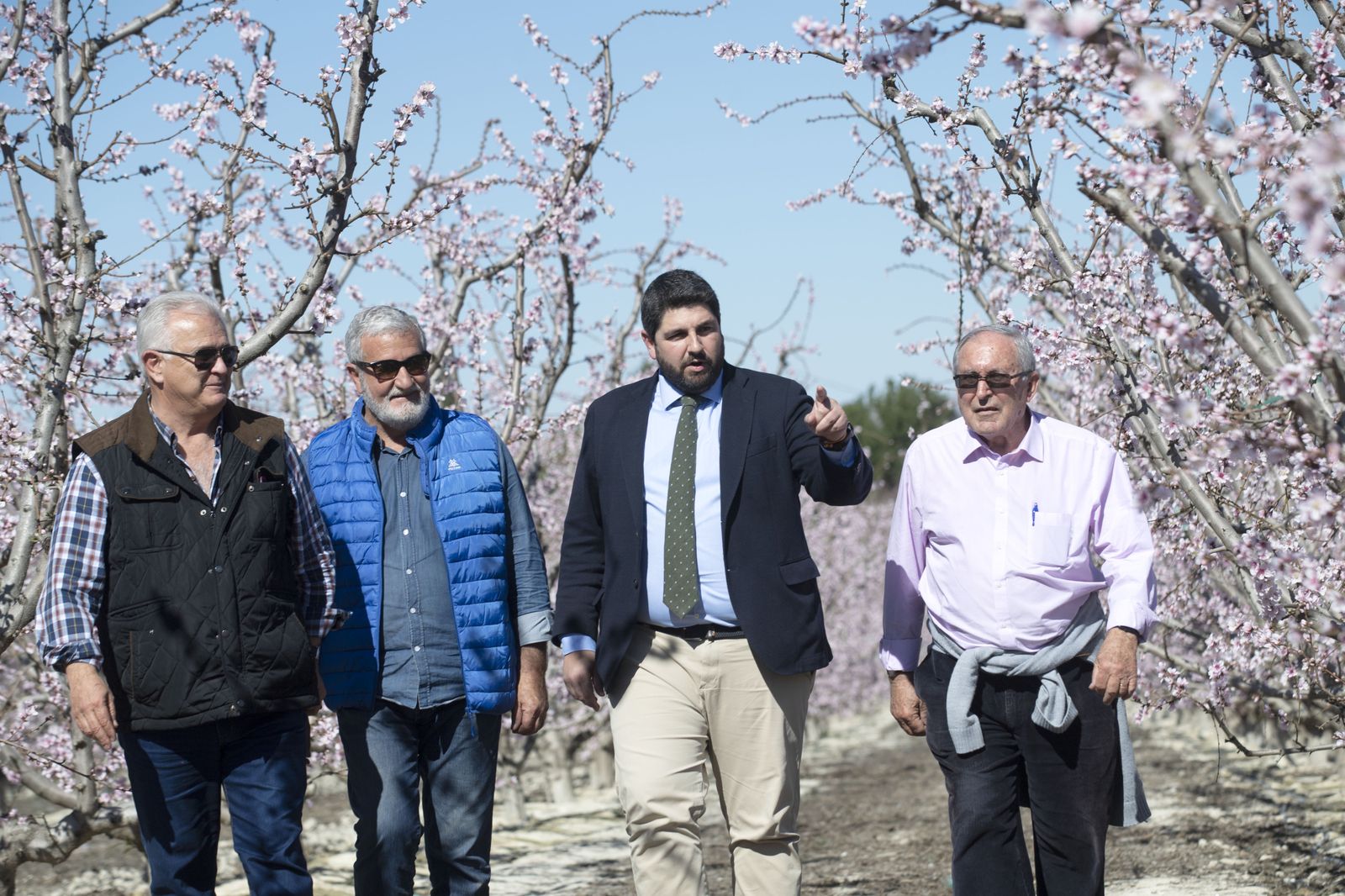 Fernando López Miras visita unos cultivos de almendros.