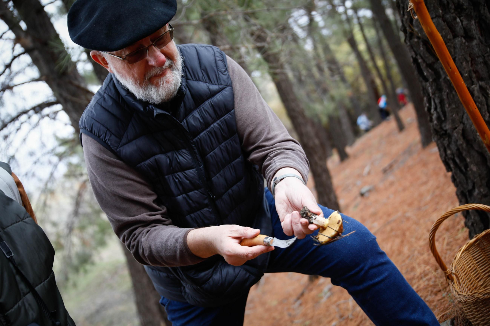 La ruta recolectora de setas en Abla por las XIX Jornadas Micológicas, en imágenes