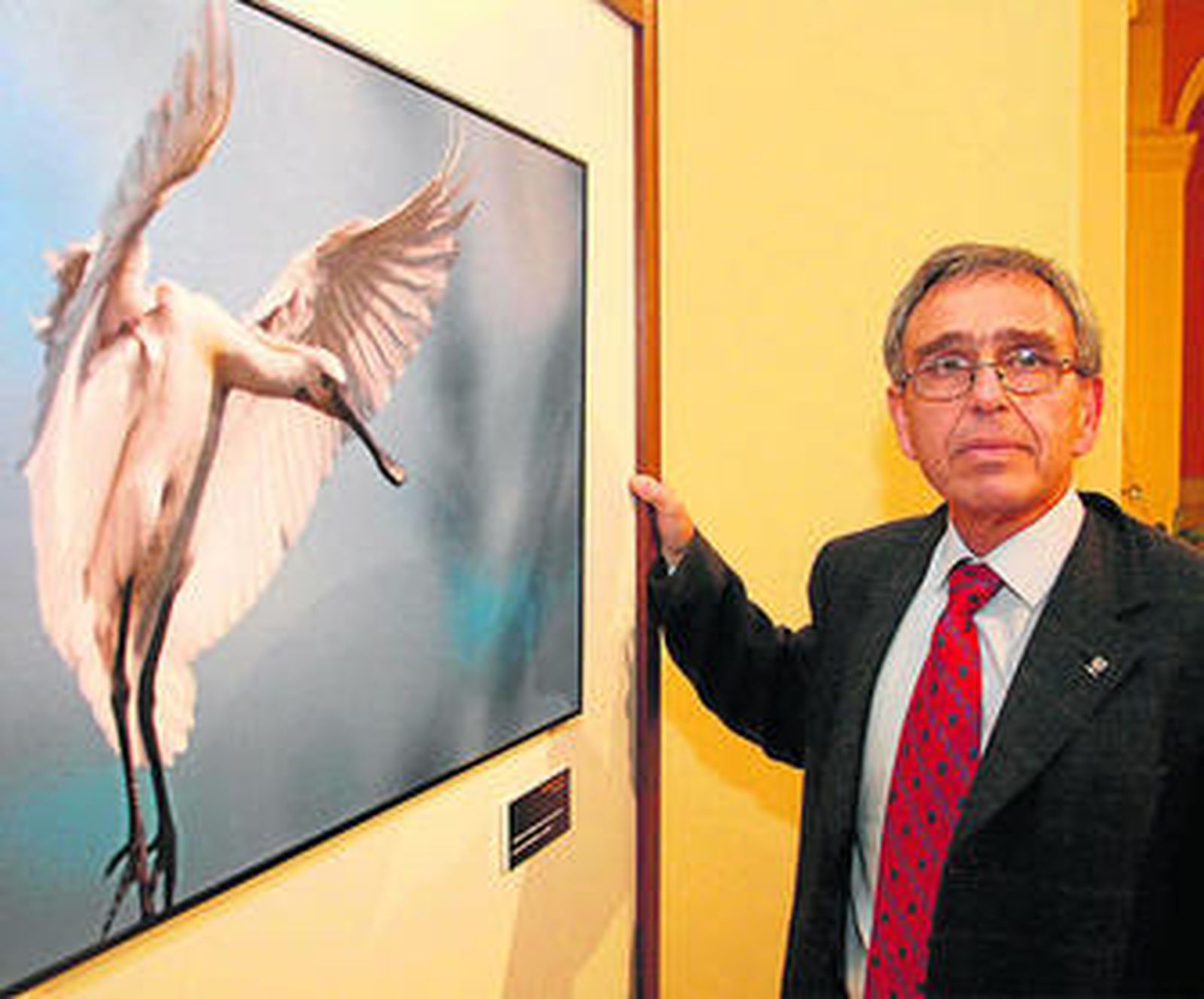 Ginés Morata en una imagen de archivo.