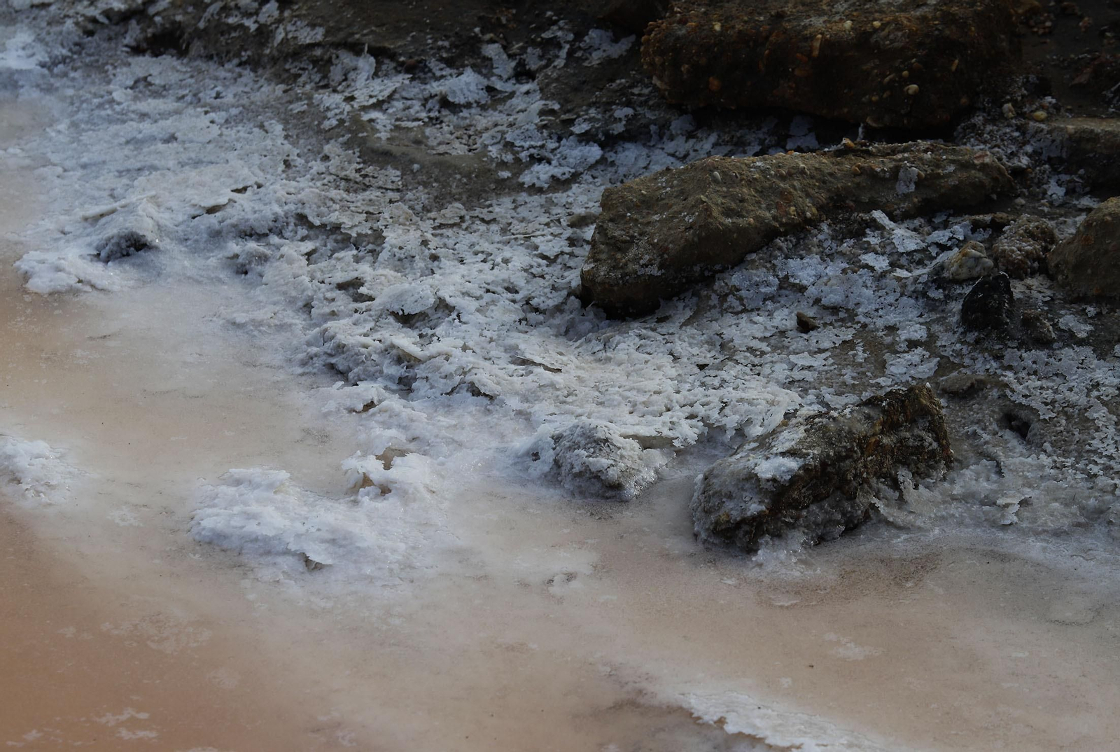 Paraje natural Marismas del Odiel, paraíso de Huelva entre salinas