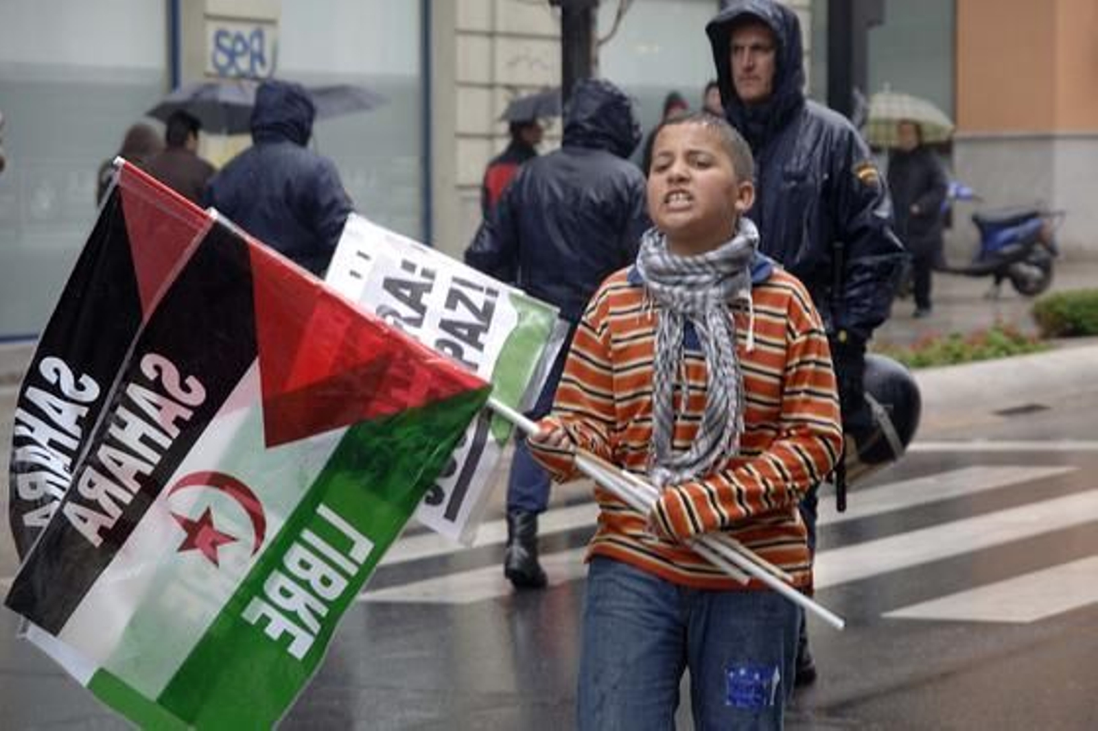 Un niño sostiene una bandera por el Sahara libre

Foto: Patri  Díez