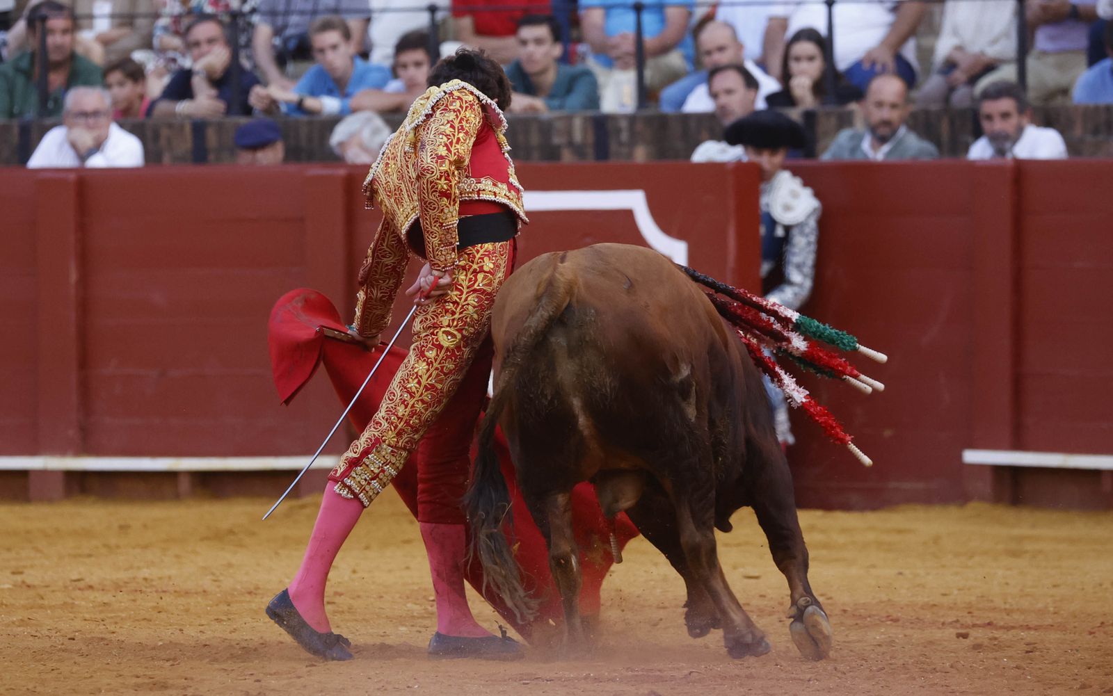 Las imágenes de la novillada en la Maestranza