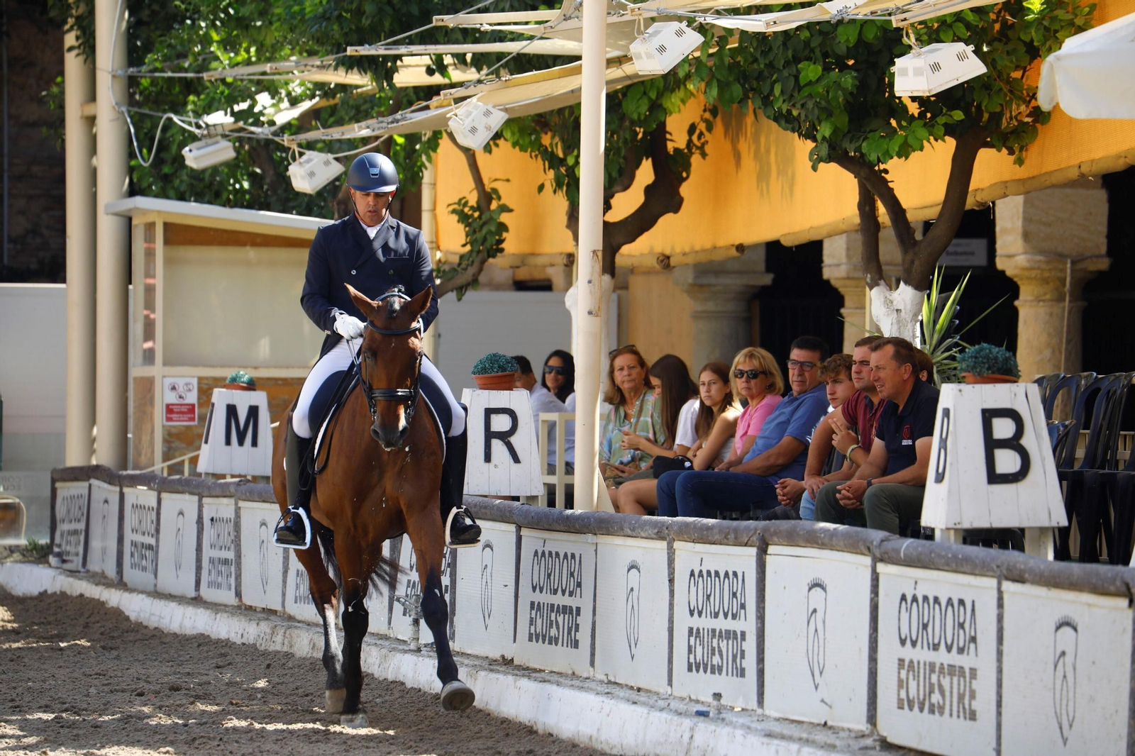 El concurso nacional de Doma Clásica en las Caballerizas Reales de Córdoba