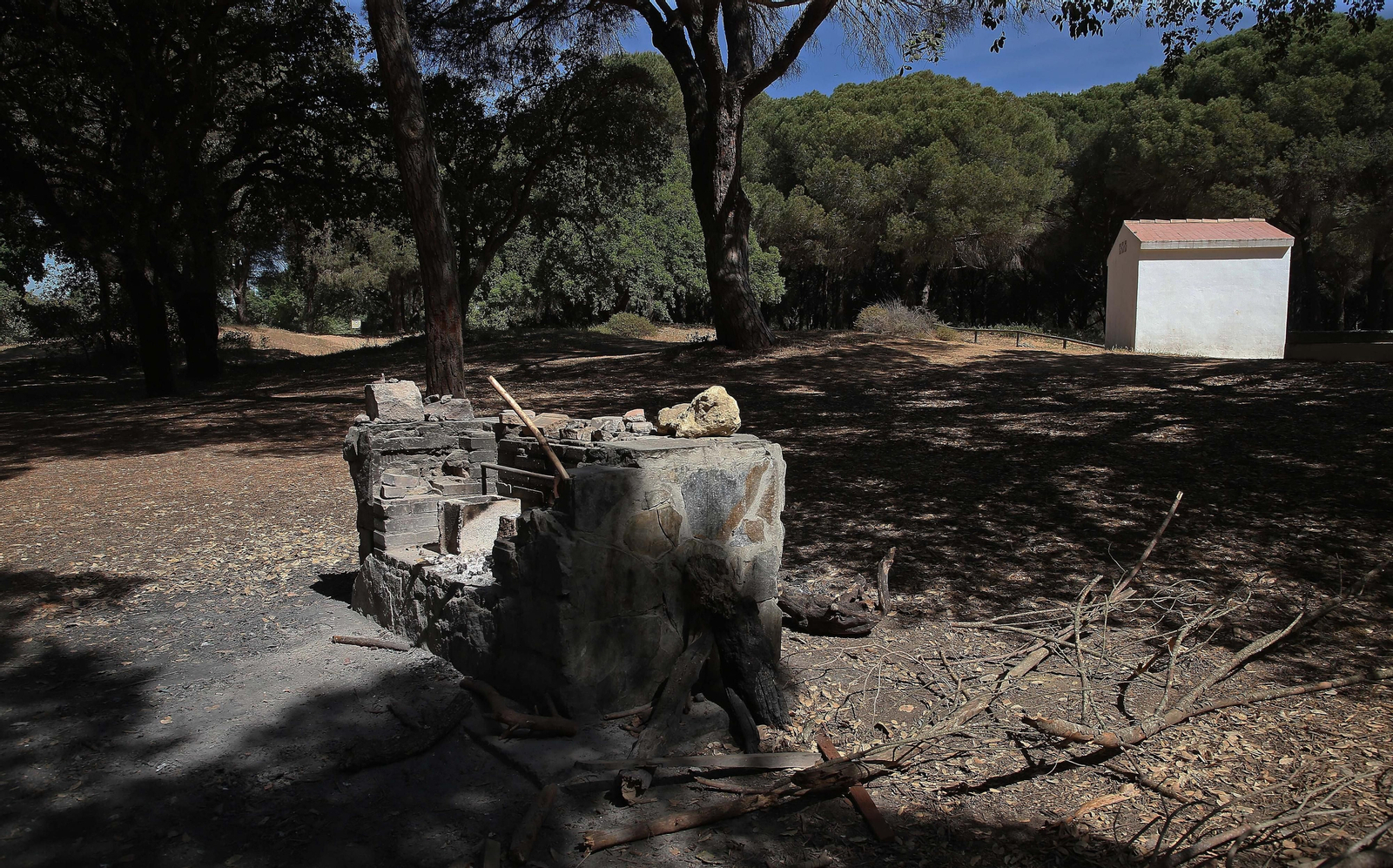 El Pinar del Rey de San Roque, en imágenes