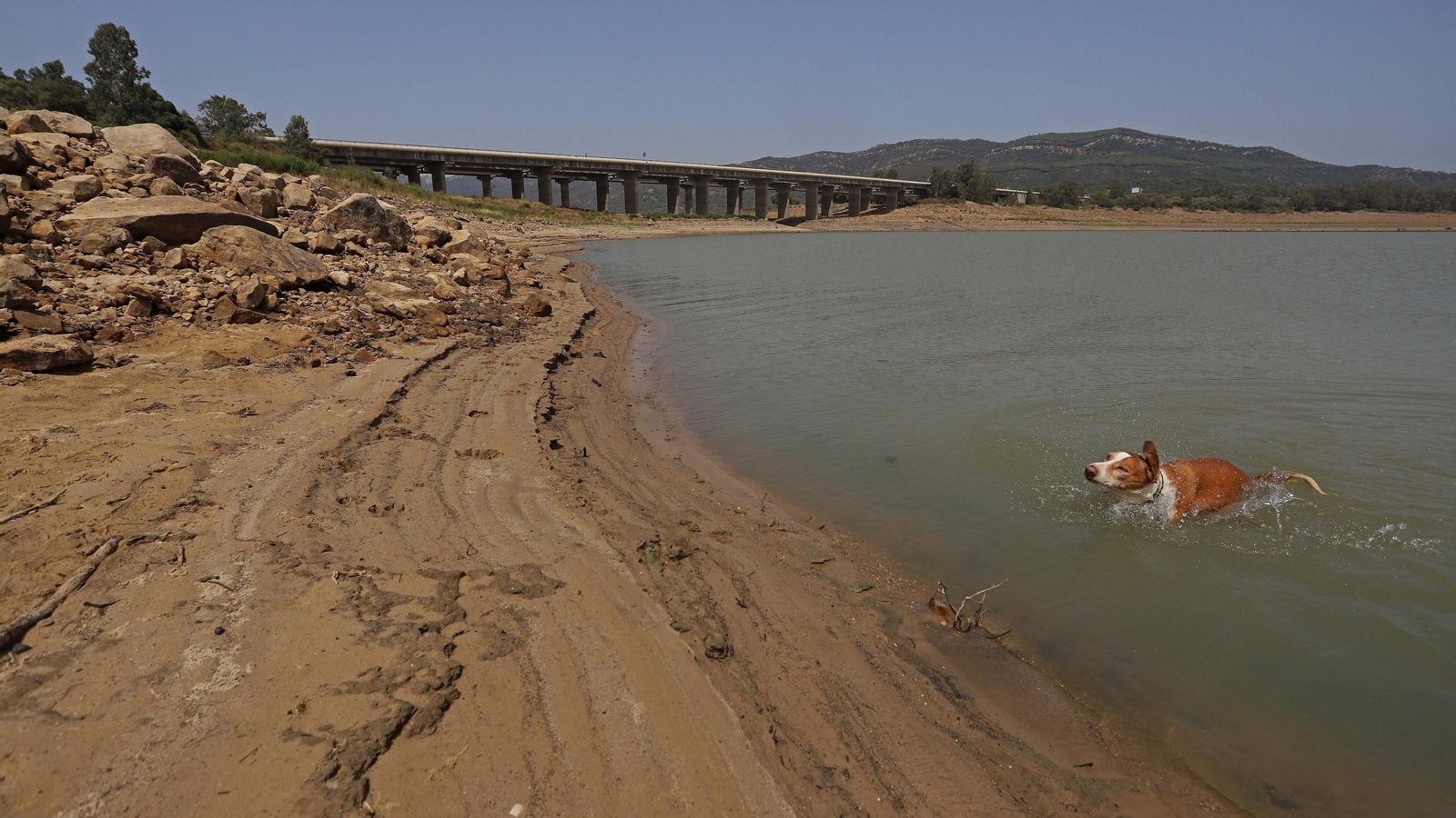 Fotos del embalse de Charco Redondo al 31 % de su capacidad Fotos del embalse de Charco Redondo al 31 % de su capacidad