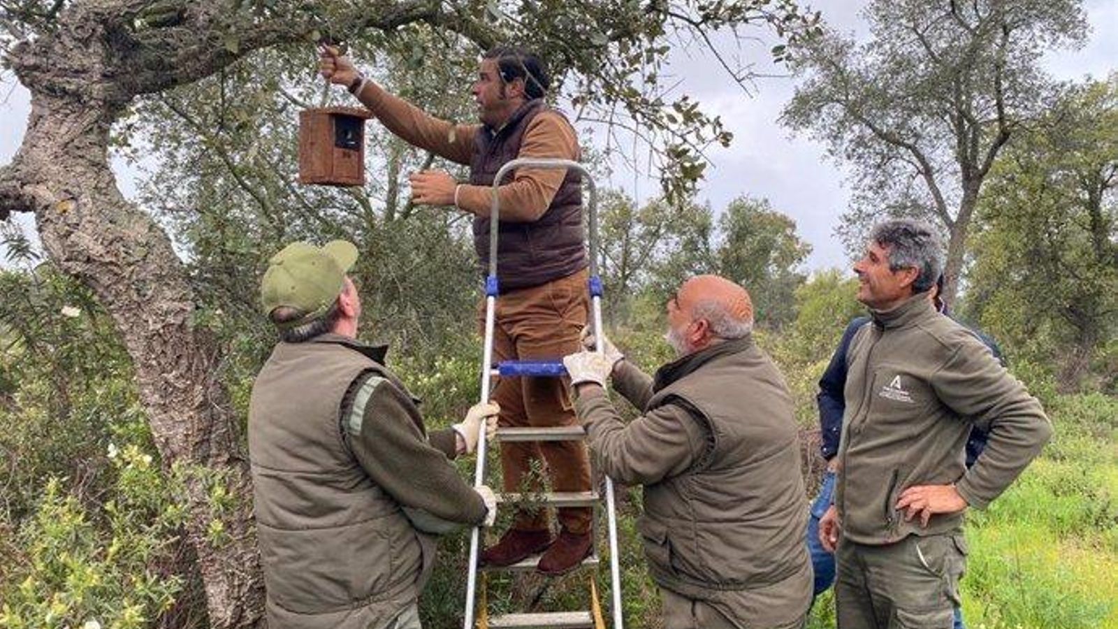Delegado SMAEA colocando una de las cajas en un árbol. Delegado SMAEA colocando una de las cajas en un árbol.