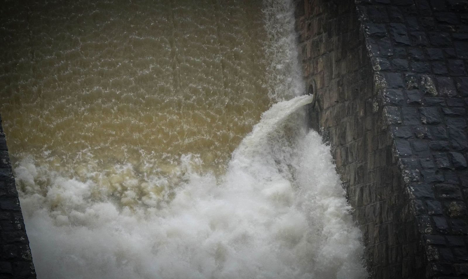 Imágenes del estado actual de los embalses de los Hurones, Guadalcacín y Bornos