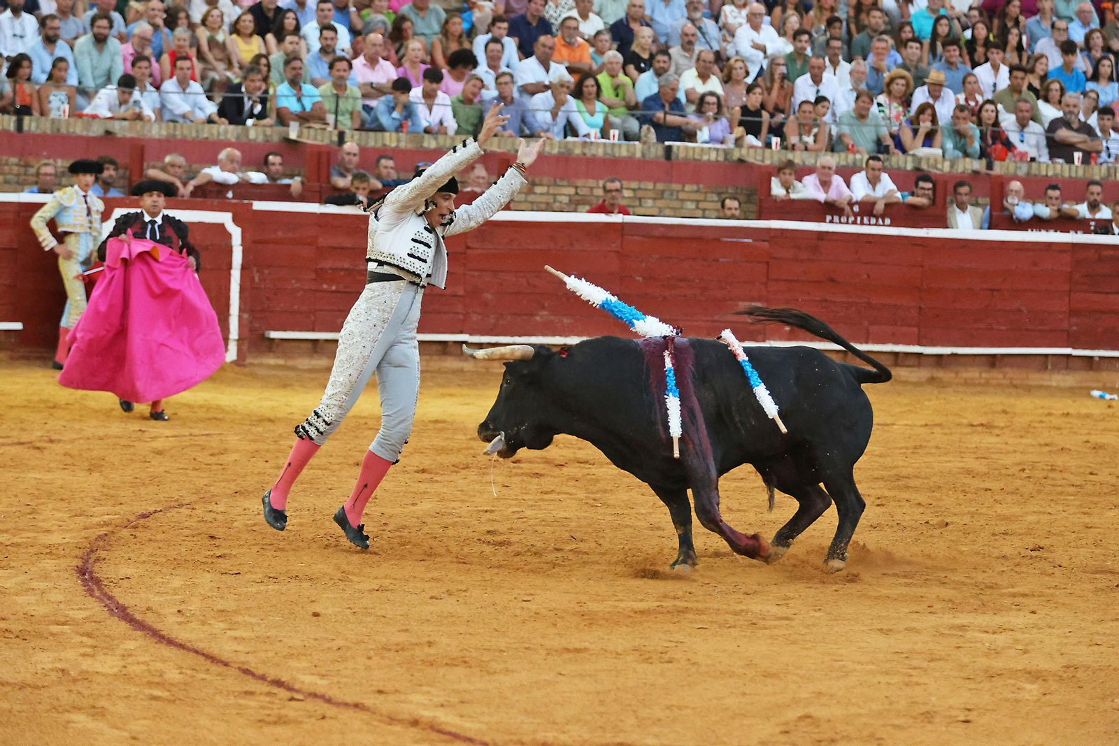 Toros La Merced 2024 Novillada con picadores(