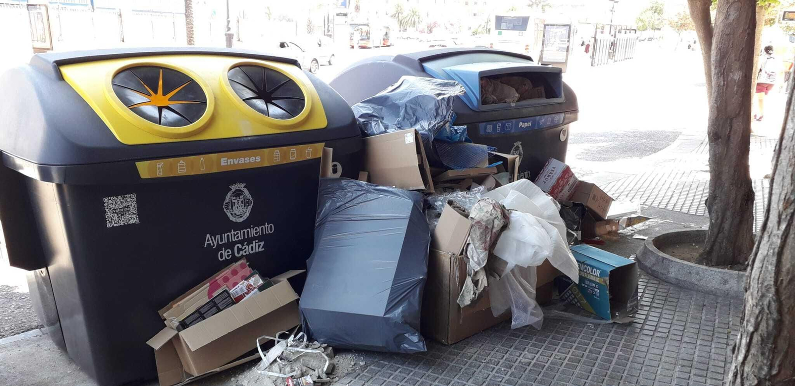 Contenedores de la Avenida del Puerto, a eso de las 14:00 horas de ayer martes.