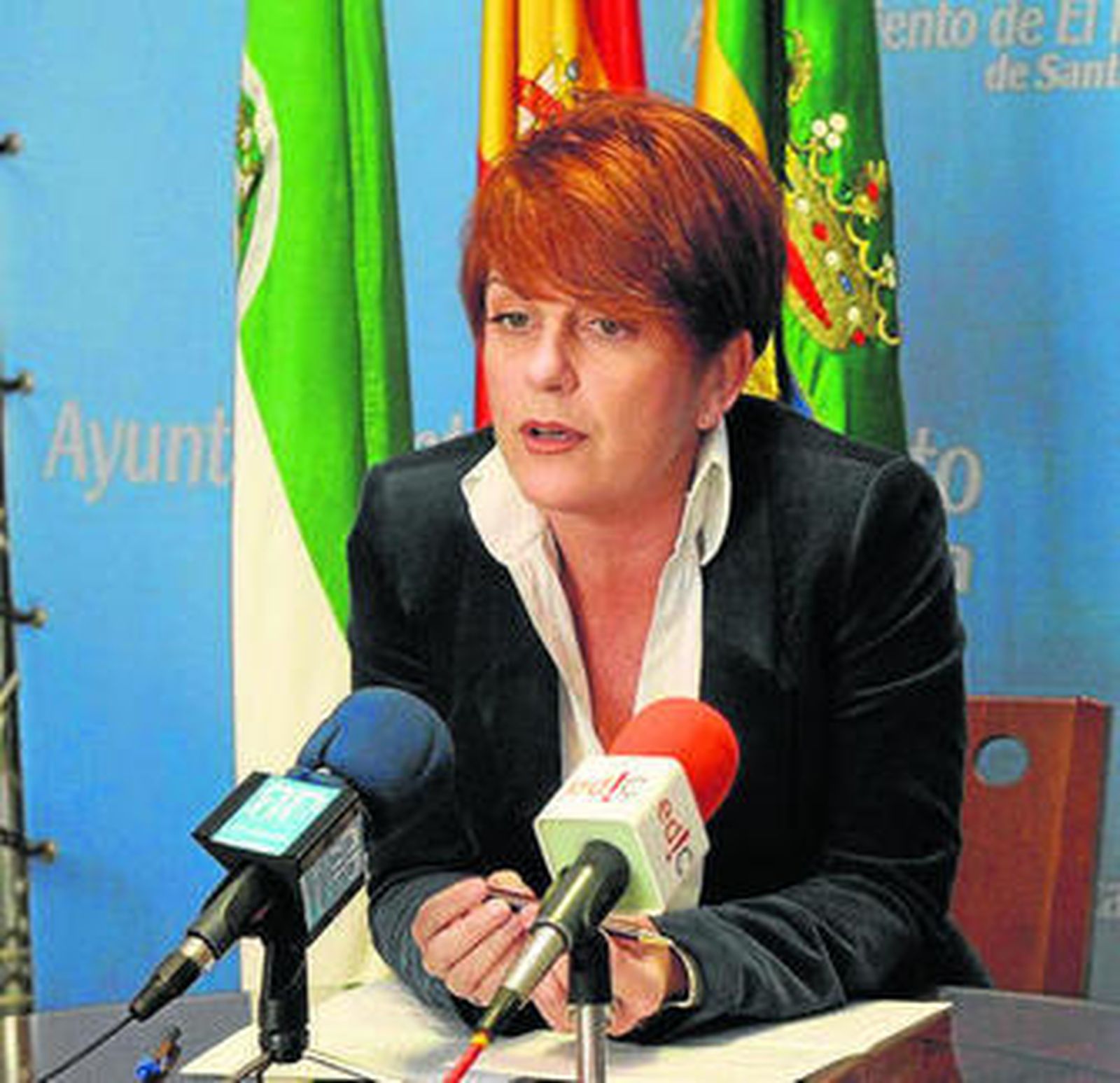 La concejala de Bienestar Social, Mariola Tocino, en una rueda de prensa.