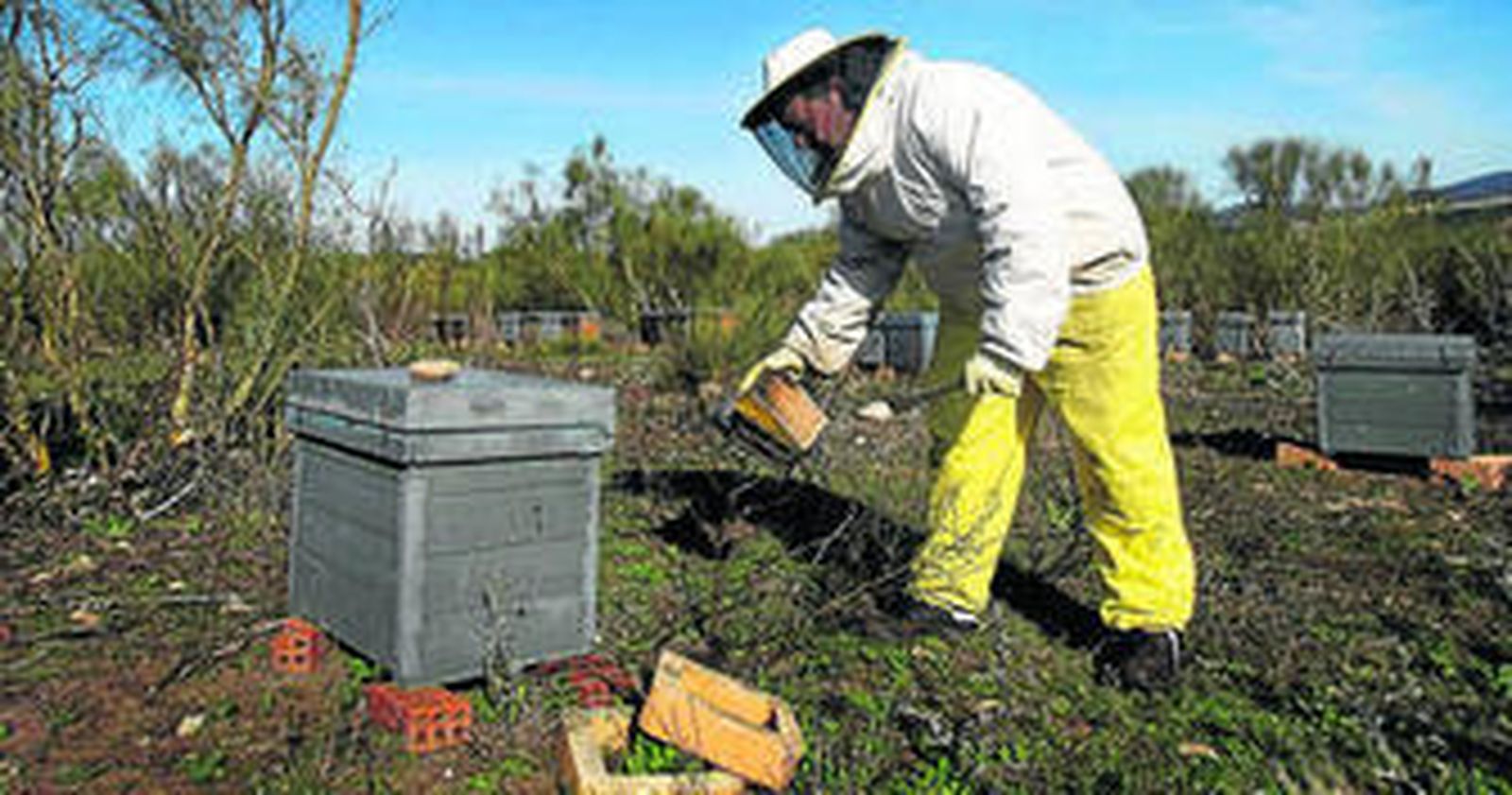 Un apicultor de Prado del Rey en plena faena.