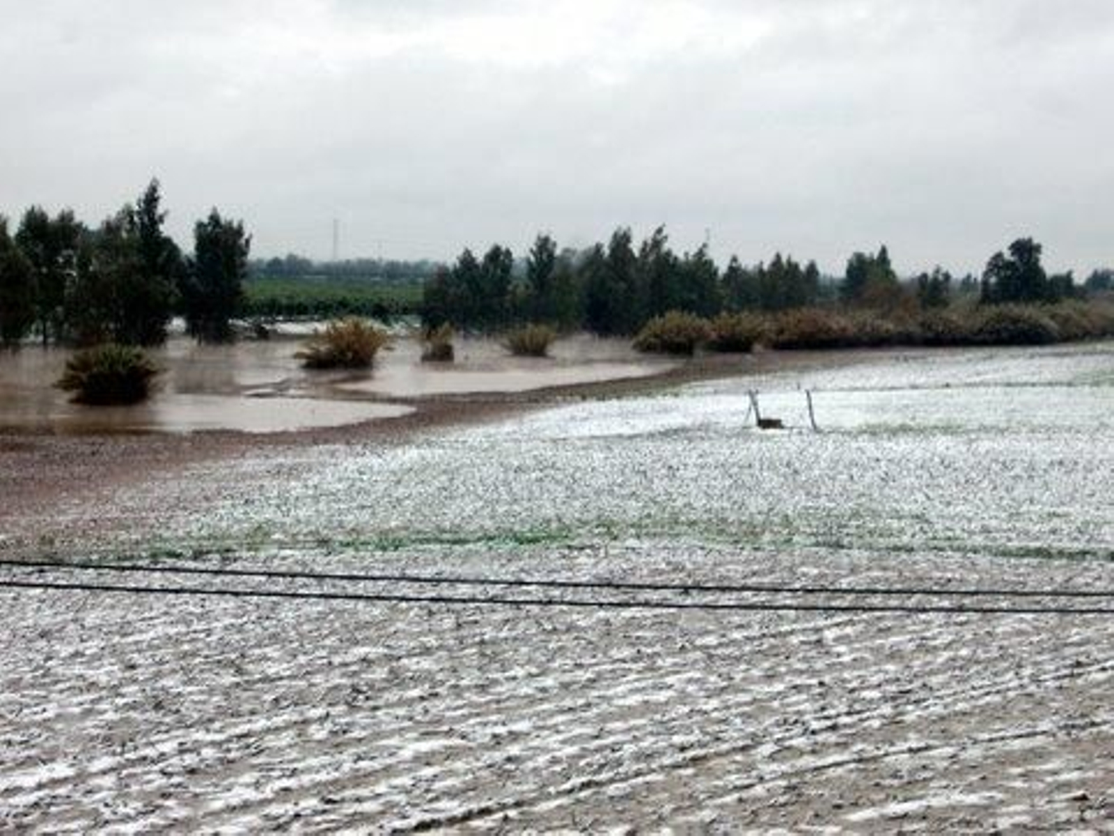 Nevada en Brenes./ Antonio Barea Sánchez