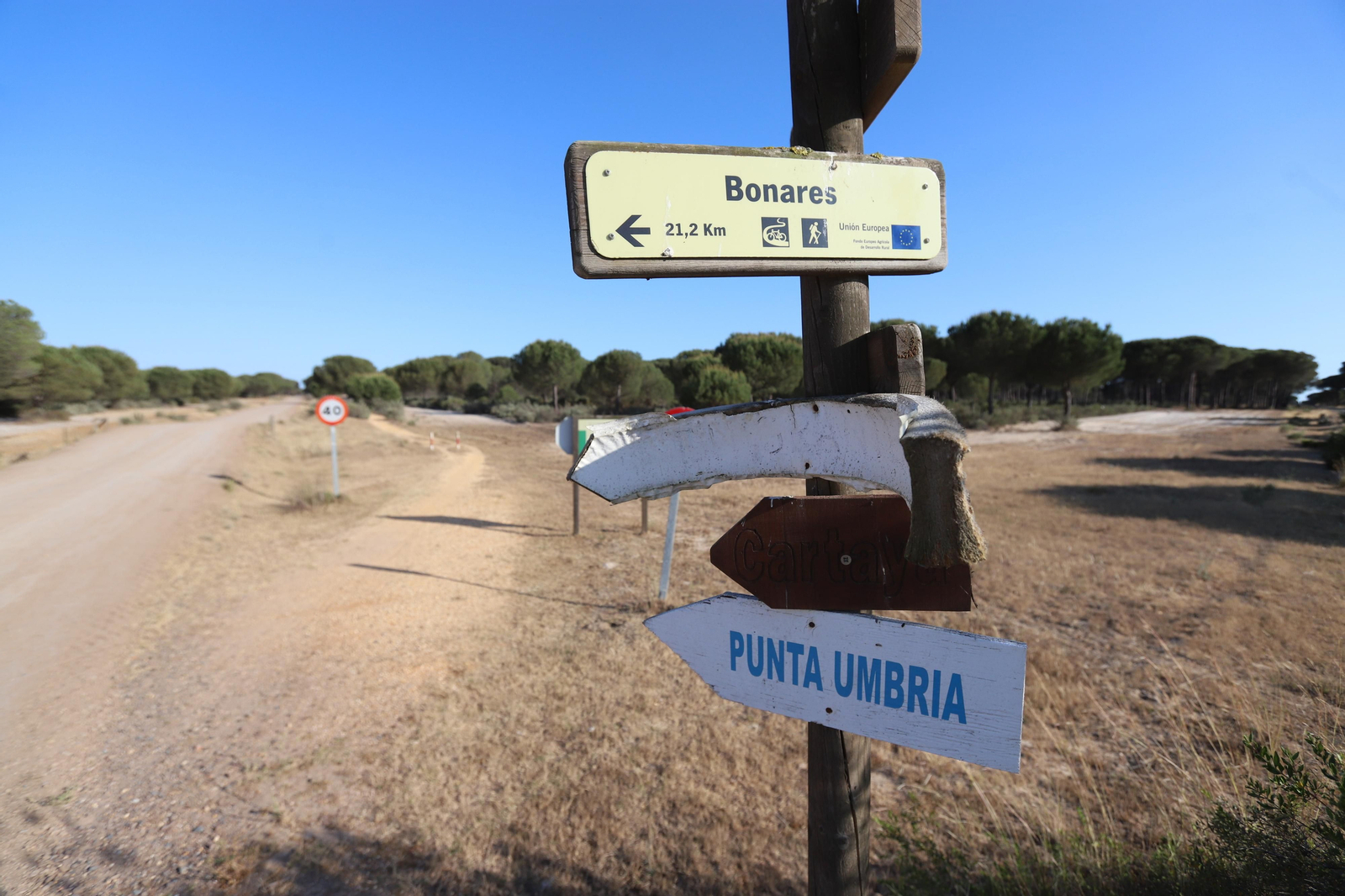 Imágenes del estado en el que se encuentran los caminos del Rocío para la Romería 2023