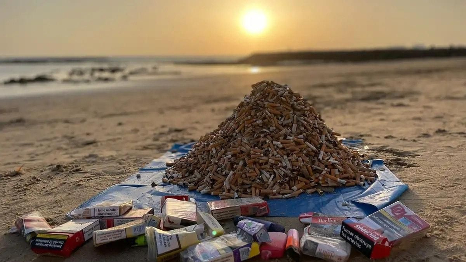 Hasta 9.000 colillas recogidas en la playa de Santa María del Mar en Cádiz.