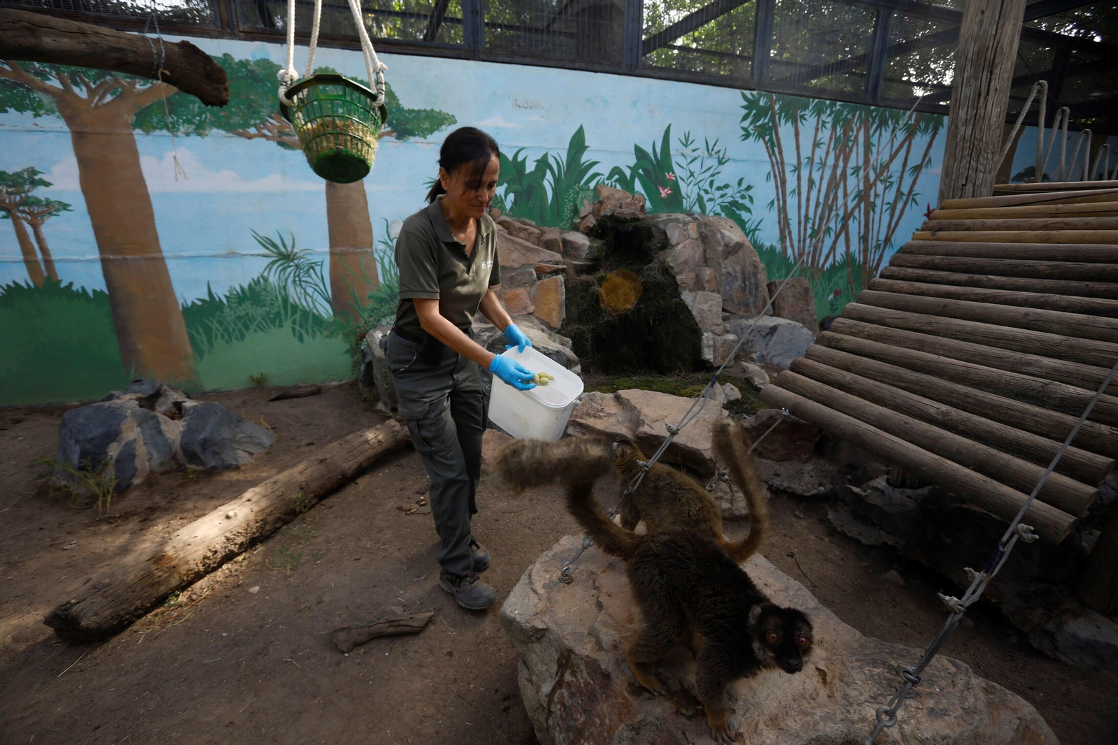 Fotogalería: Así viven los animales del Zoo de Córdoba los meses de verano