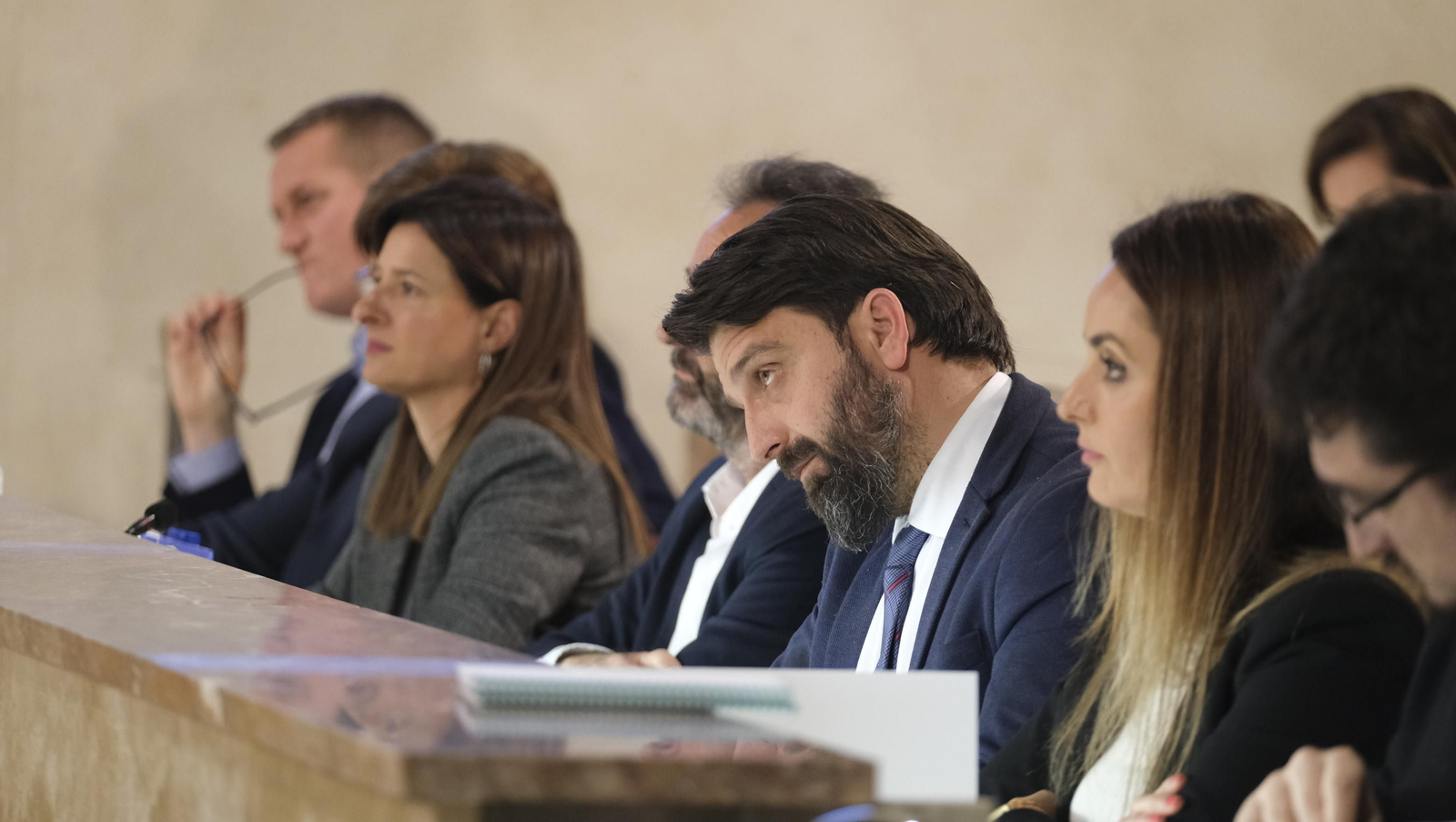 Imágenes del pleno ordinario del Ayuntamiento de Almería