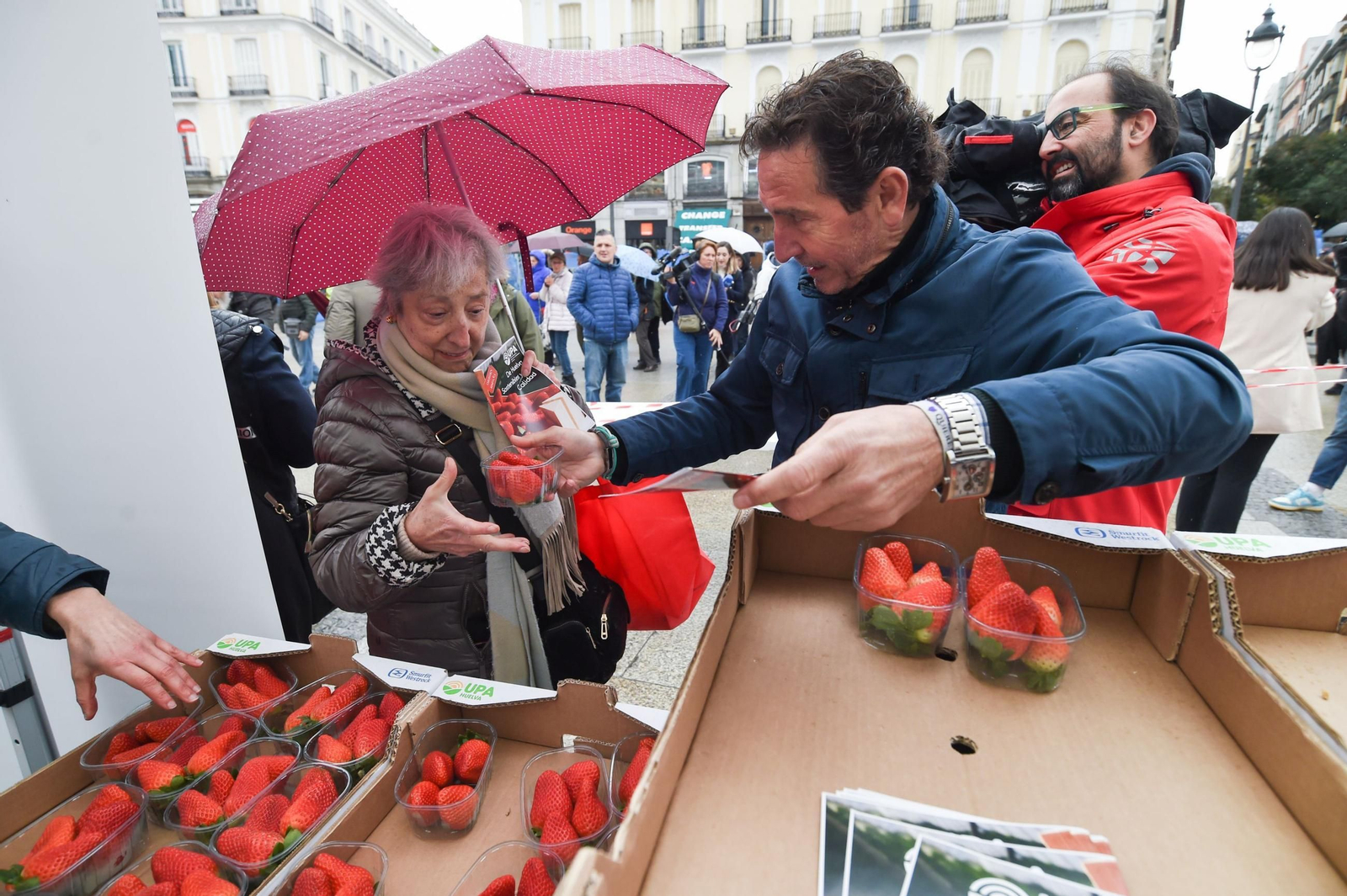 Reparto de fresas de Huelva.