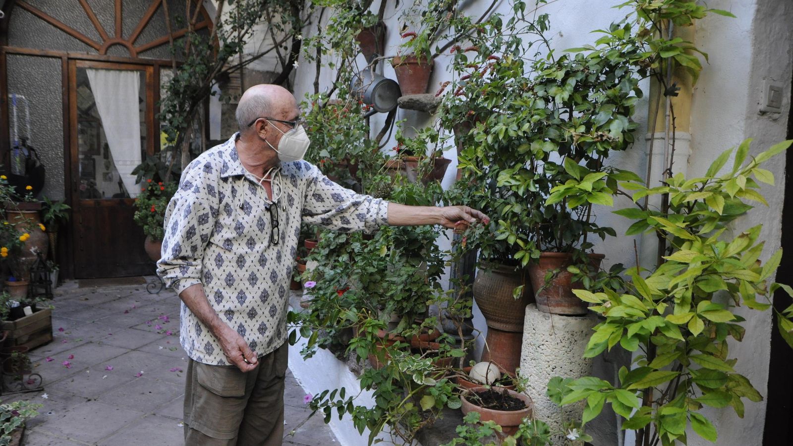 Manuel Cachinero observa sus plantas, en el patio de La Palma, 3.