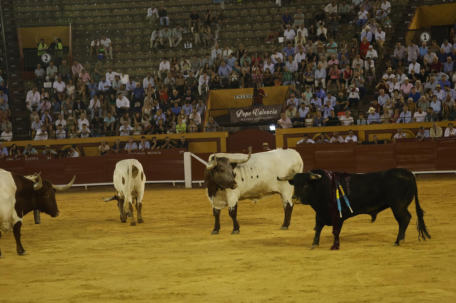 Fotos de la brava corridade La Palmosilla con Emilio de Justo, Borja Jiménez y David de Miranda