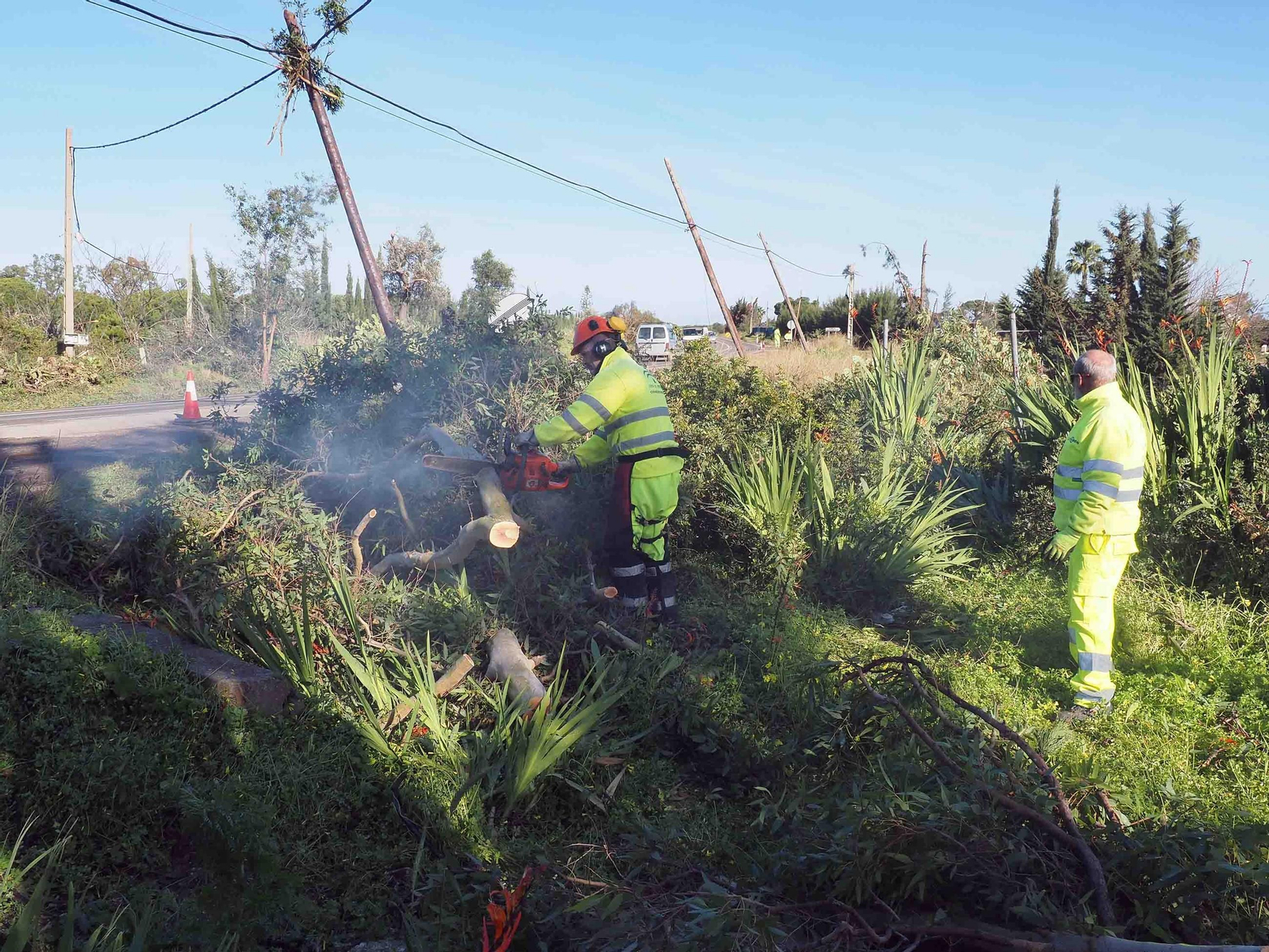 Imágenes de los daños causados por la violenta manga de viento en la provincia de Huelva